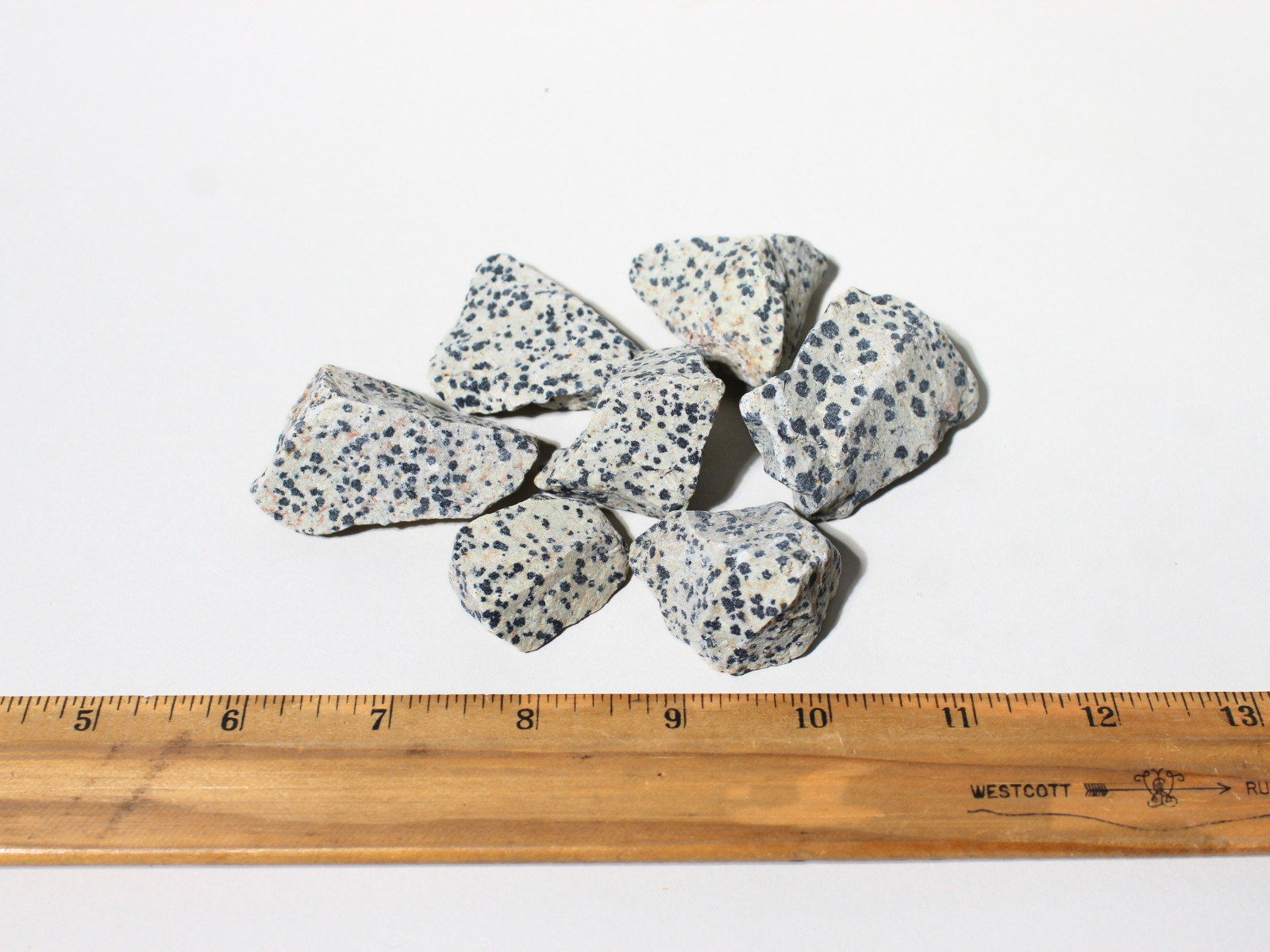Dalmatian Jasper – Rough Rocks for Tumbling – Bulk Wholesale 1LB options