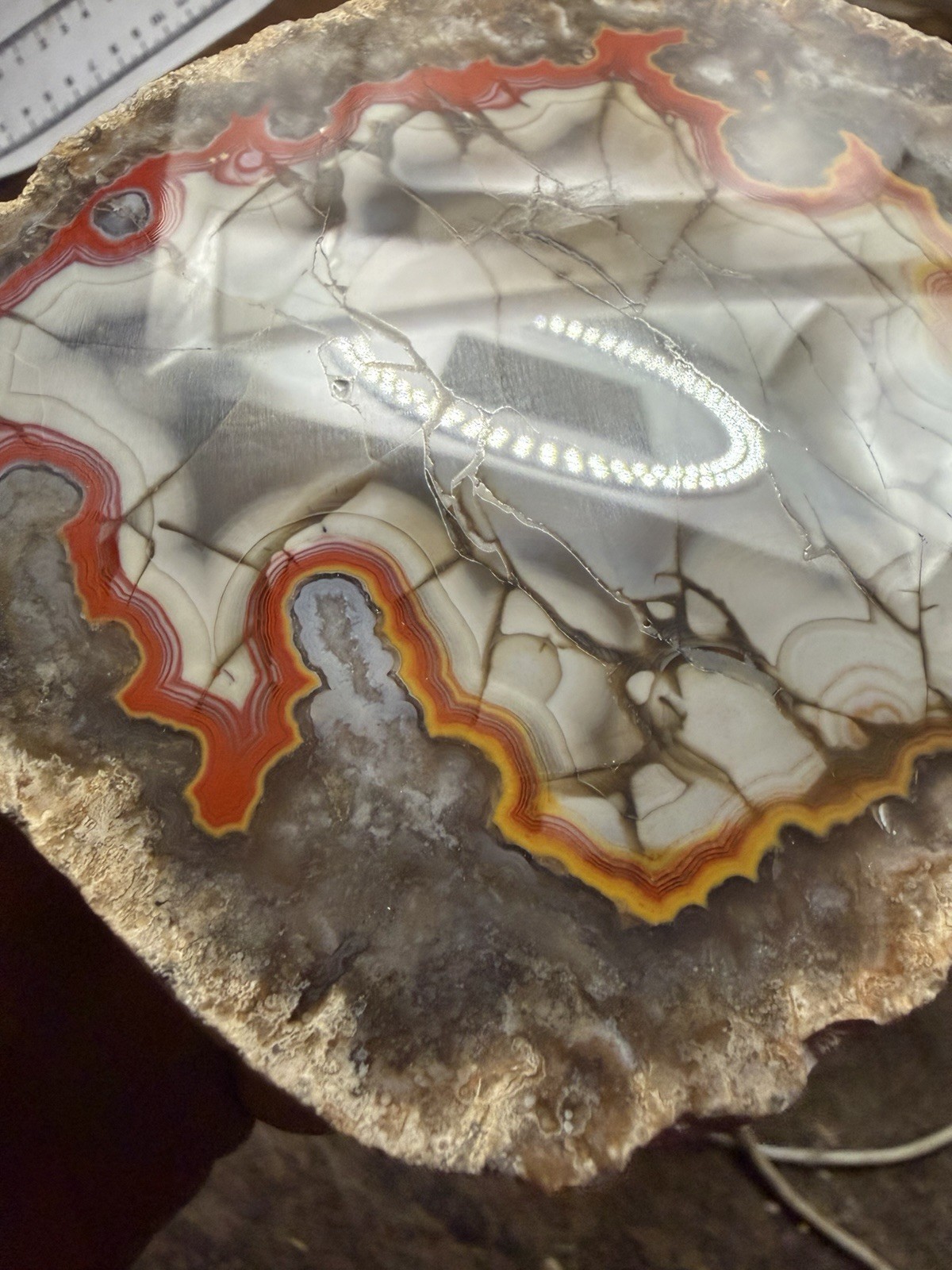 LARGE 1LB 12OZ Fire Kentucky Agate With Dark Fracture Lines Brilliant Contrast