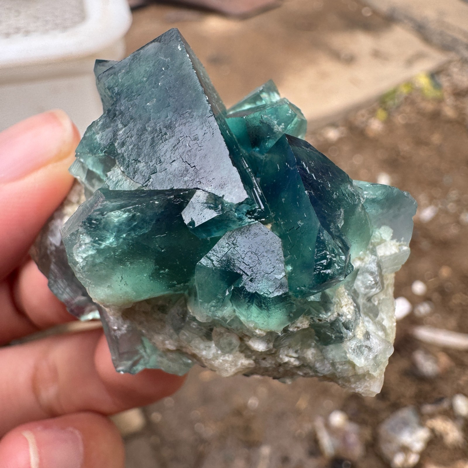 70G Natural cubic green fluorite crystal cluster rough mineral specimen Healing