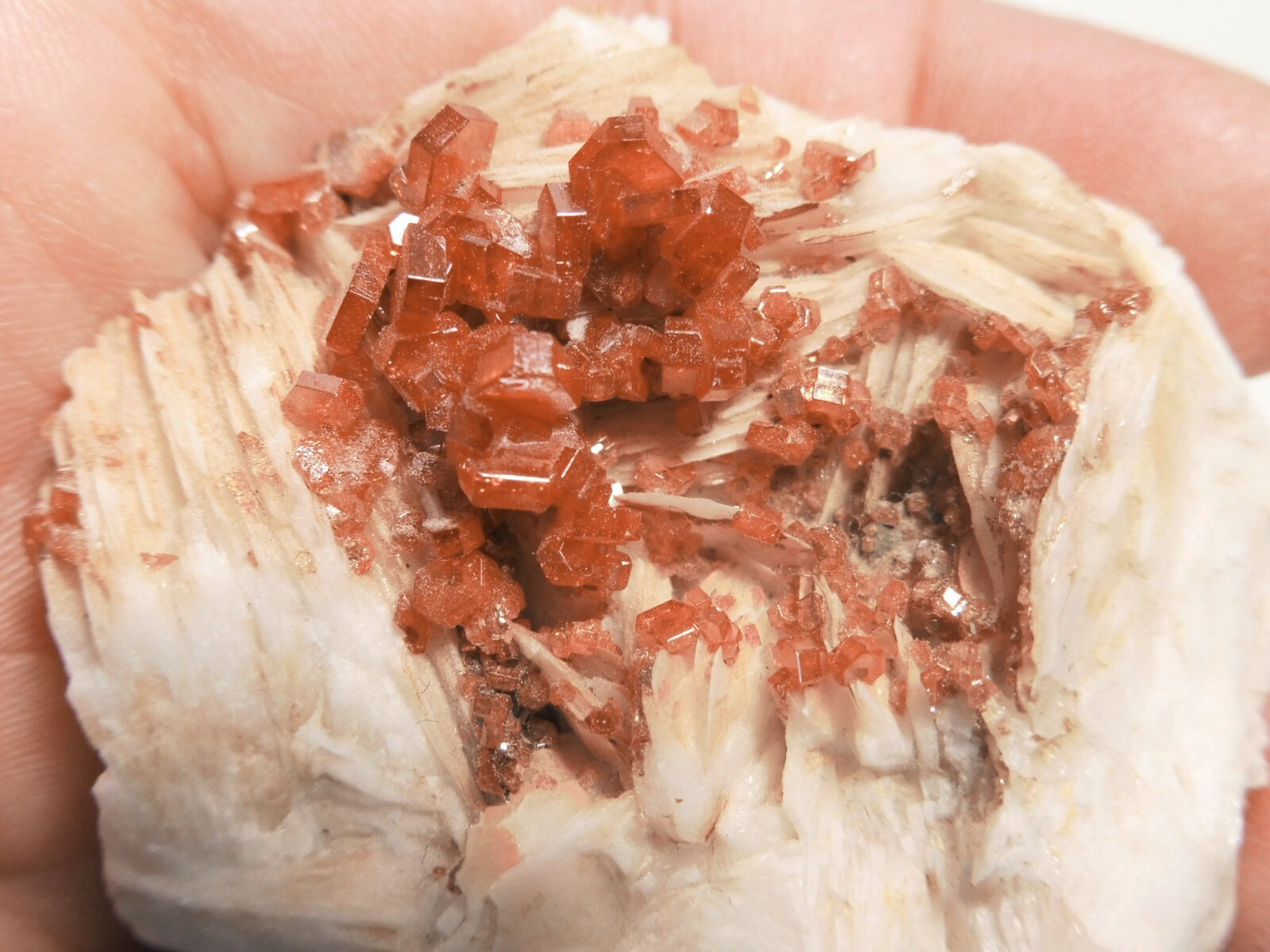 Lustrous Vanadinite on Barite, Mibladen, Midelt, Morocco, 2.0” x 1.7” x 0.8”