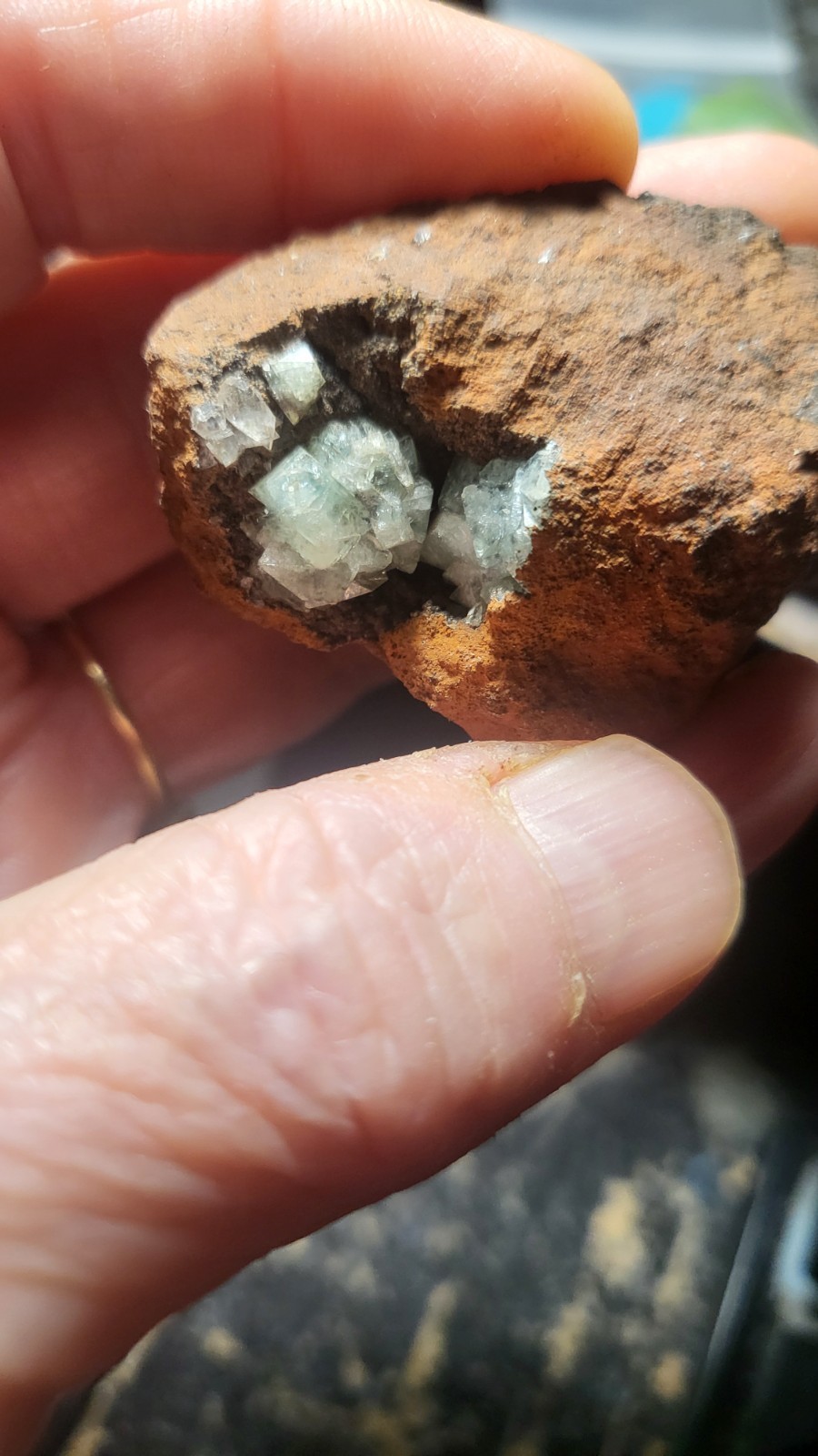 Highly Prized Rock and Mineral Collection