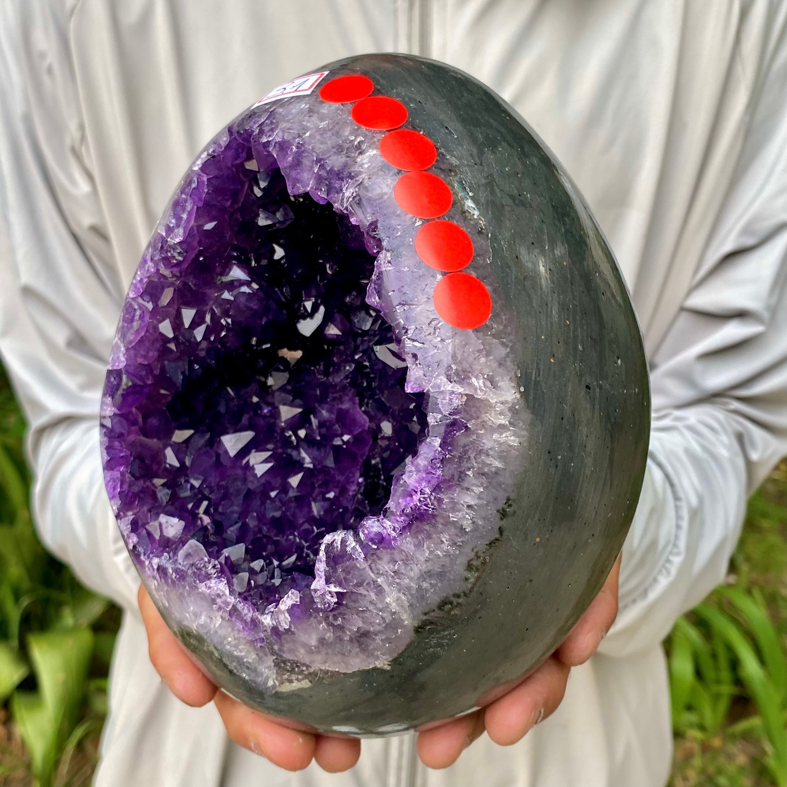 6.81LB High quality Natural Amethyst geode quartz crystal Dinosaur egg healing