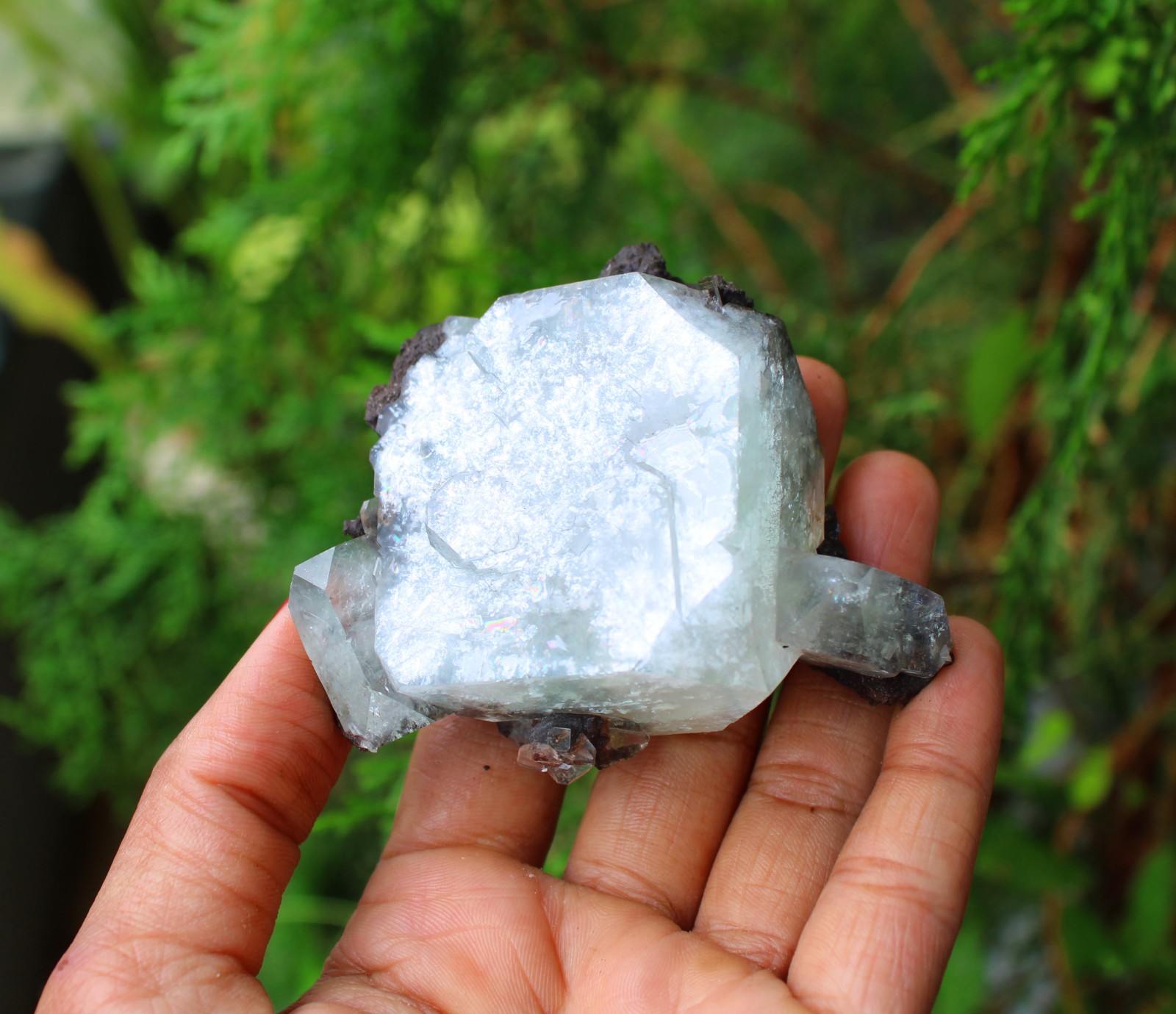 GREEN APOPHYLLITE CRYSTALS MINERALS SPECIMEN