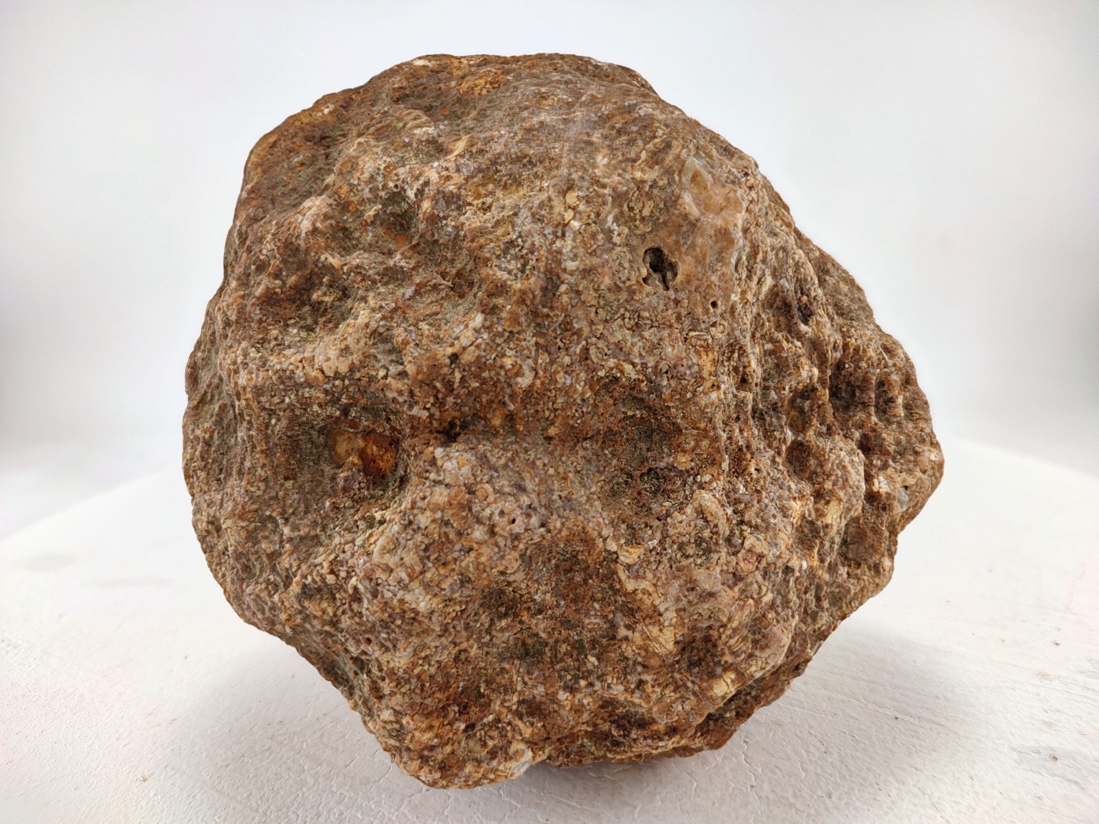 5″ Unopened Geode Natural Kentucky Crystal Quartz Non Rattler 4 LB