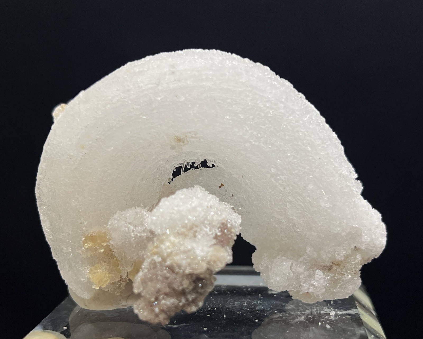 60mm 41g ‘Ram’s Horn’ shape Selenite (Gypsum), Natural Mineral Specimen