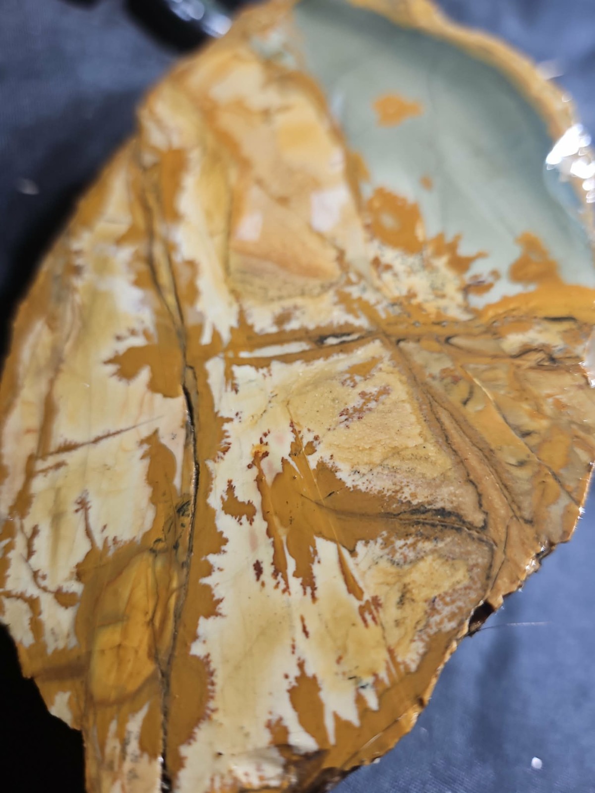 Oregon Picture Jasper Specimen (3lbs 4oz) Measures 8 in x 4 in x 3 in
