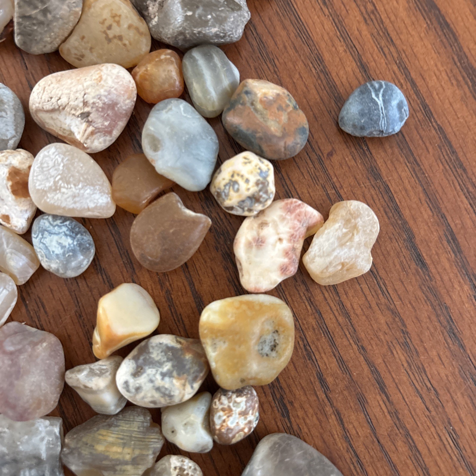 Lot of 1 pound Prair Agates Wyoming- South Dakota Banding Not Polished
