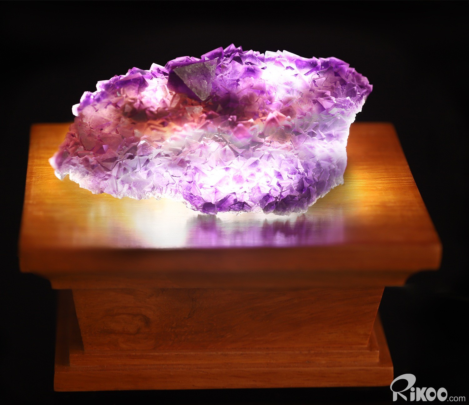 Rikoo Rosewood LED White Light Display Stand