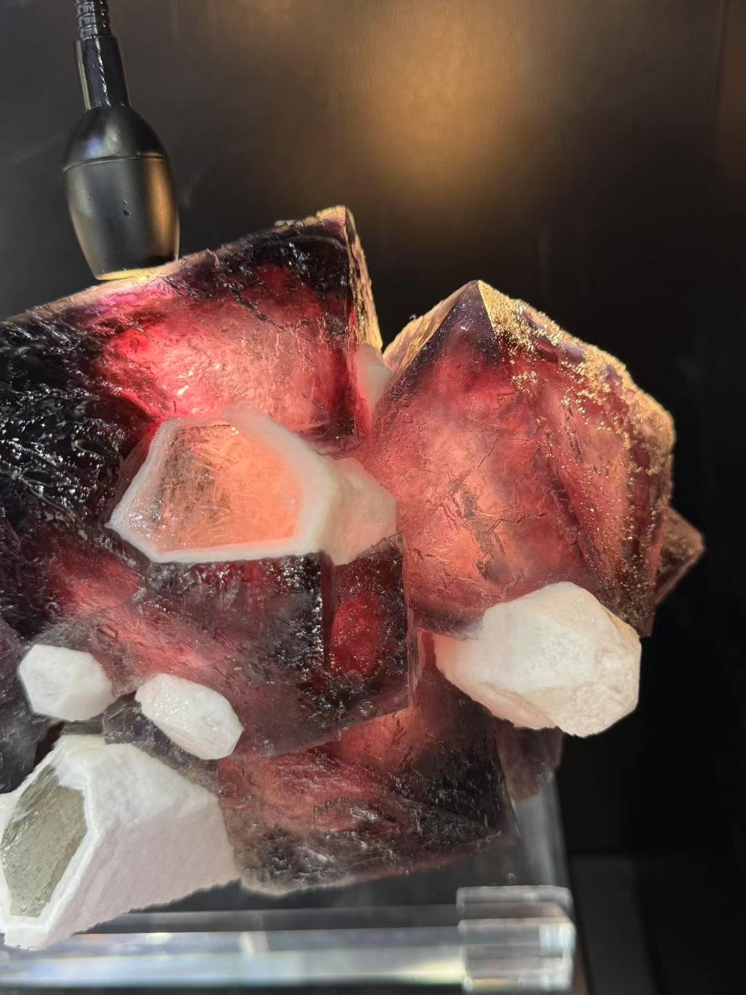 13.5LB Museum level Seven Colored Fluorite and White Crystal Symbiotic Specimen