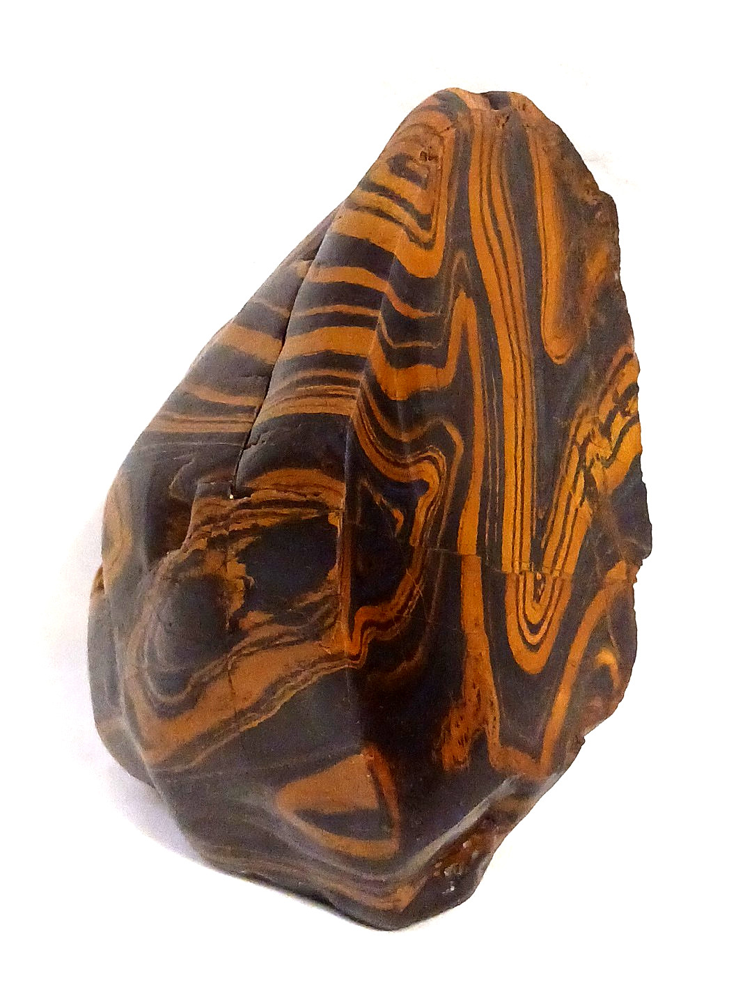 Rare Wyoming Banded Iron Formation BIF Display Rock Cut & Polished Display Tiger