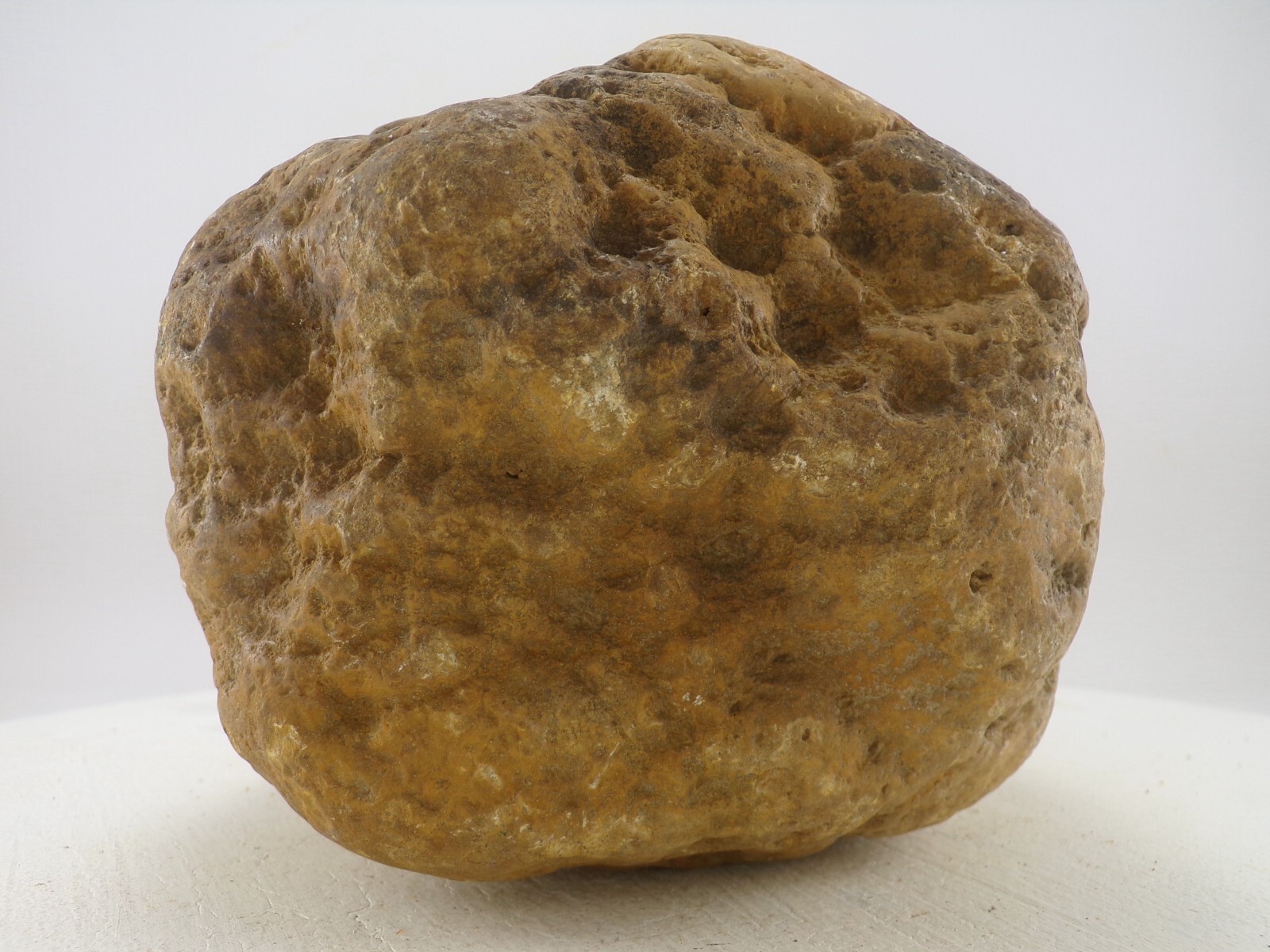7″ Unopened Geode Nodule 6.4 LB – Natural Uncut Kentucky Quartz Crystal