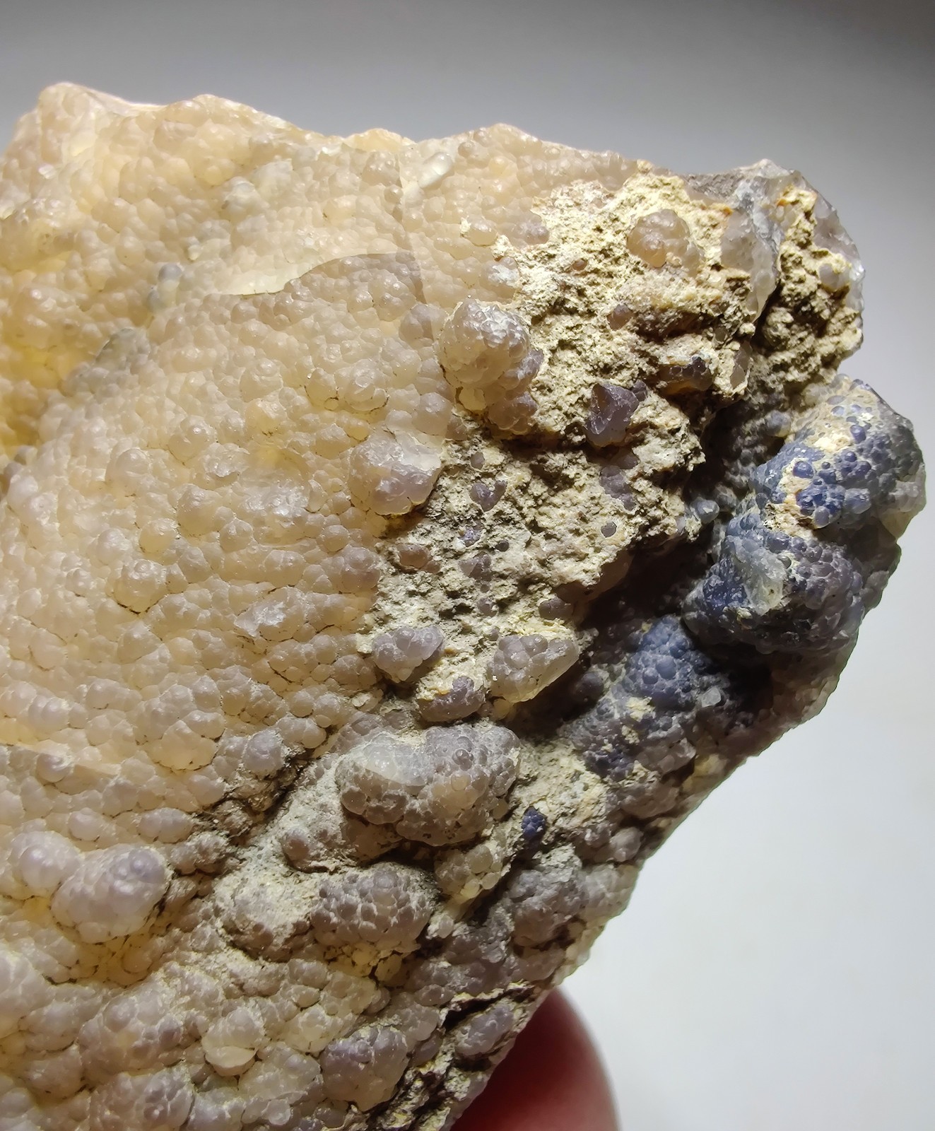 Petrified Wood, Fluorescent. Eden Valley, Wyoming. 36 grams.