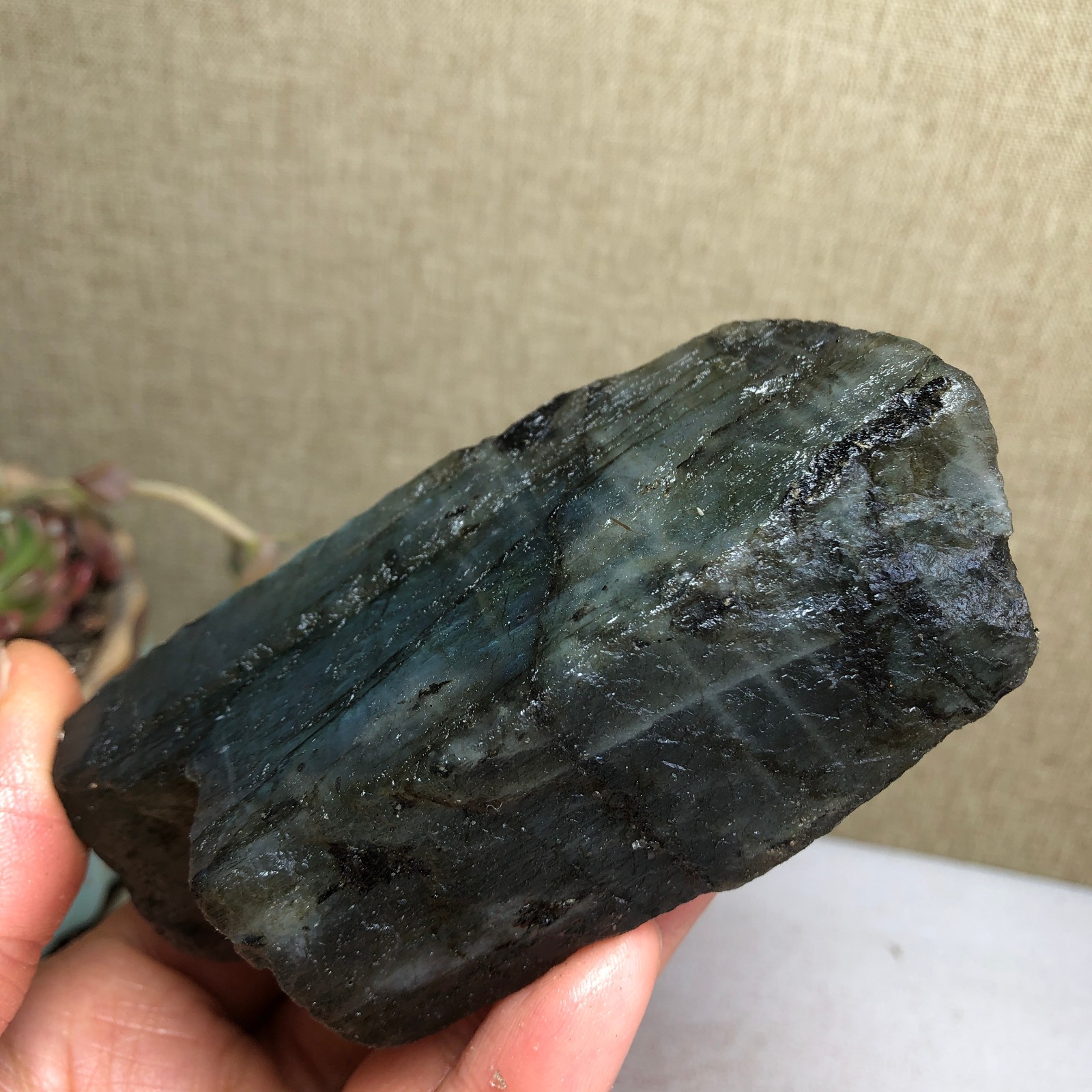 92-34-36mm Natural Labradorite Crystal gemstone Rough Mineral Specimen A4418