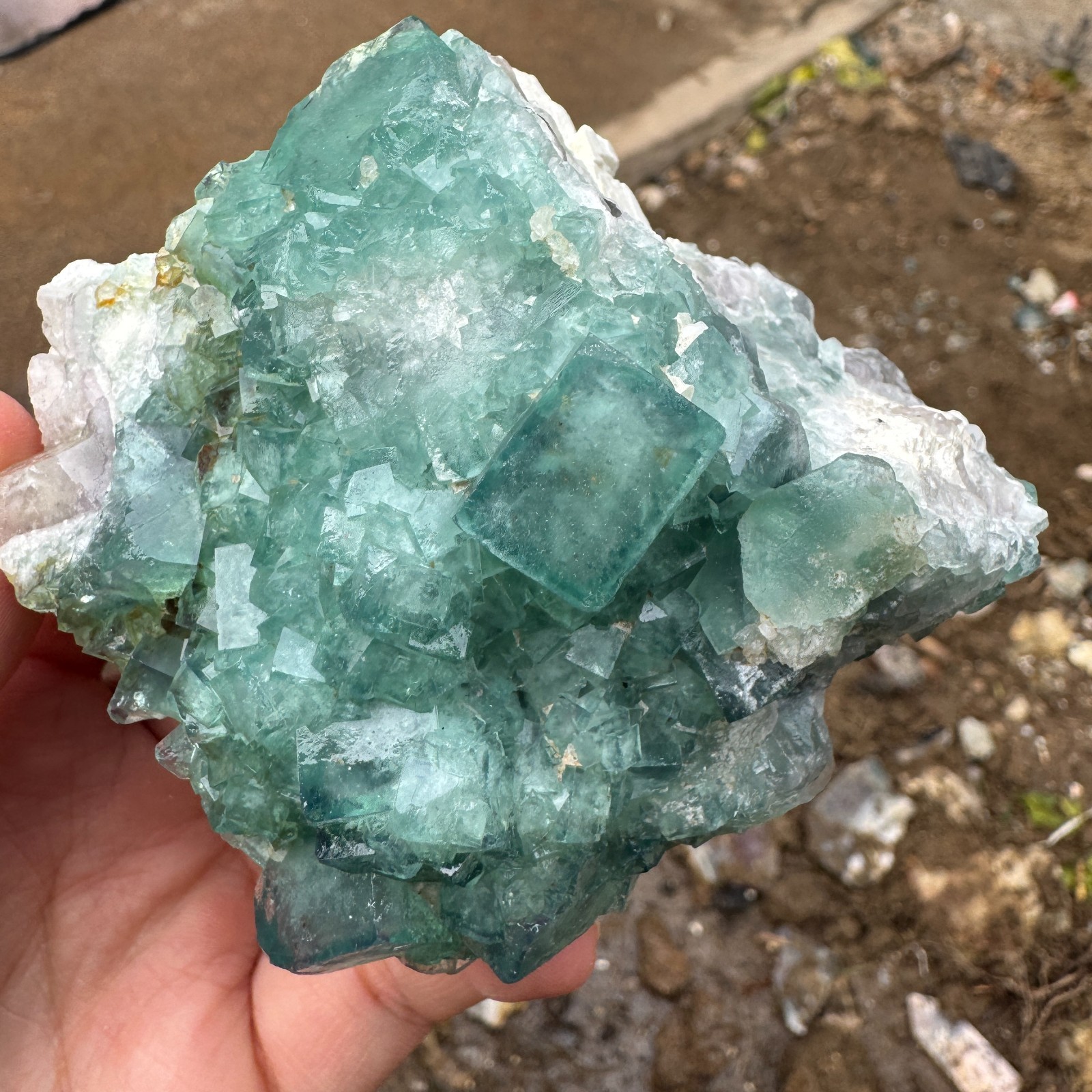 230G Natural cubic green fluorite crystal cluster rough mineral specimen Healing