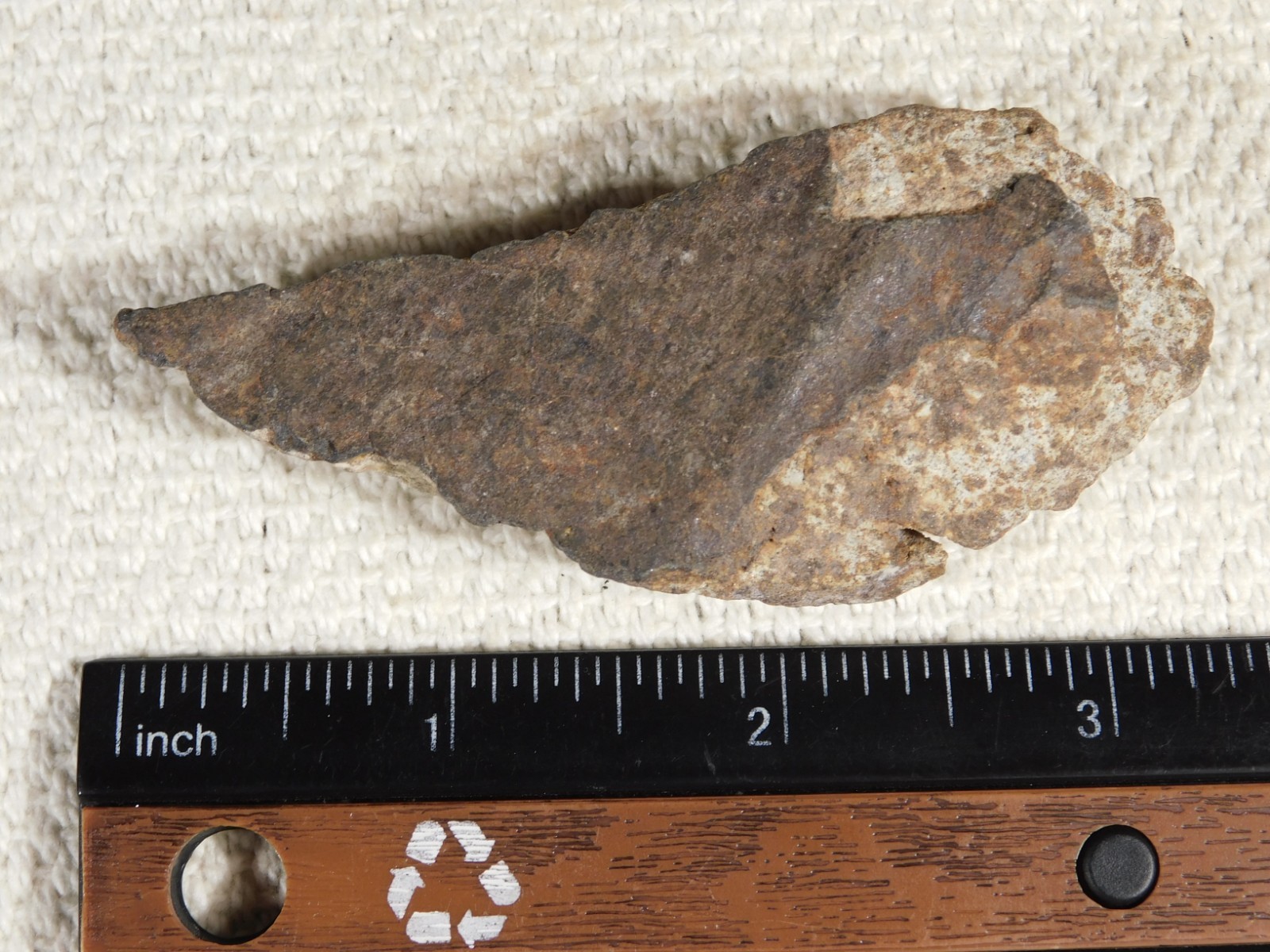 Classified NWA 8245 METEORITE Spots of Dark Fusion Crust! Erfoud, Morocco 68.7gr