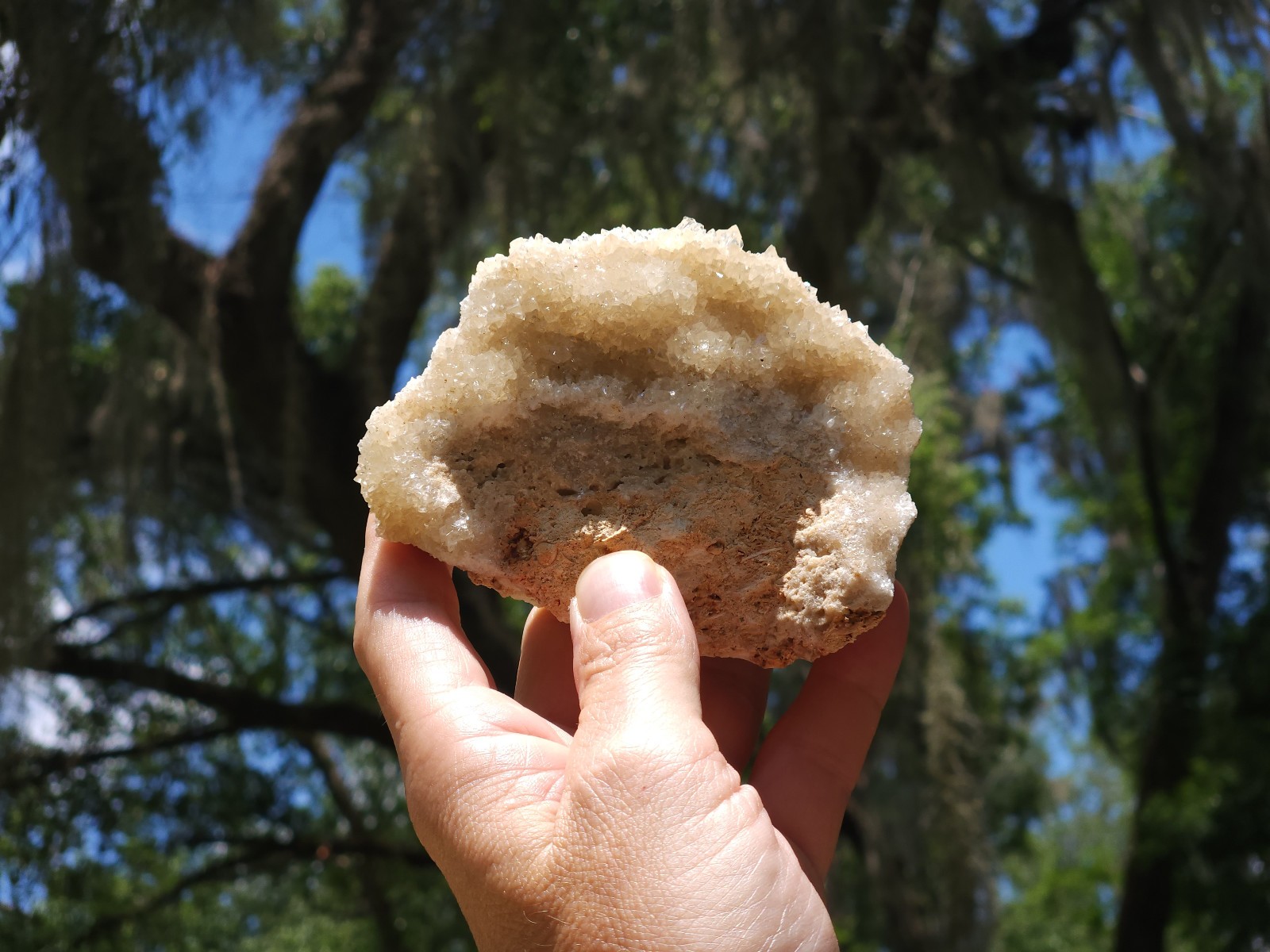 Florida Calcite Crystal Collection 5 pieces LOT Honey Clusters UV Mineral