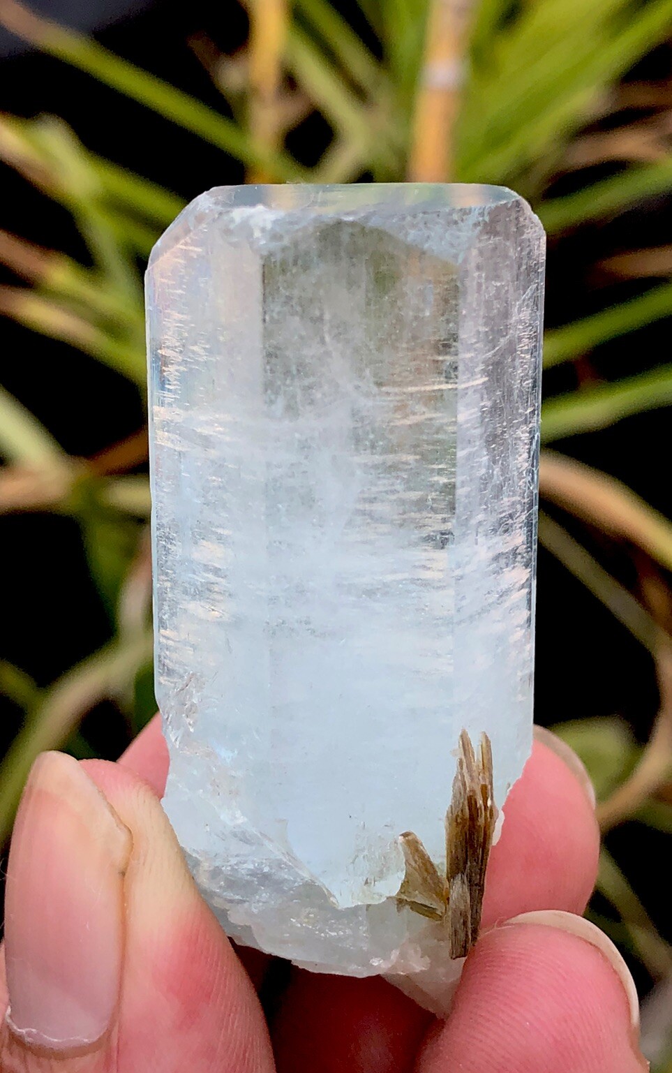 38.9 Amazing Top Class Aqumarine Crystal Natural DESIGNED shigar Pakistan