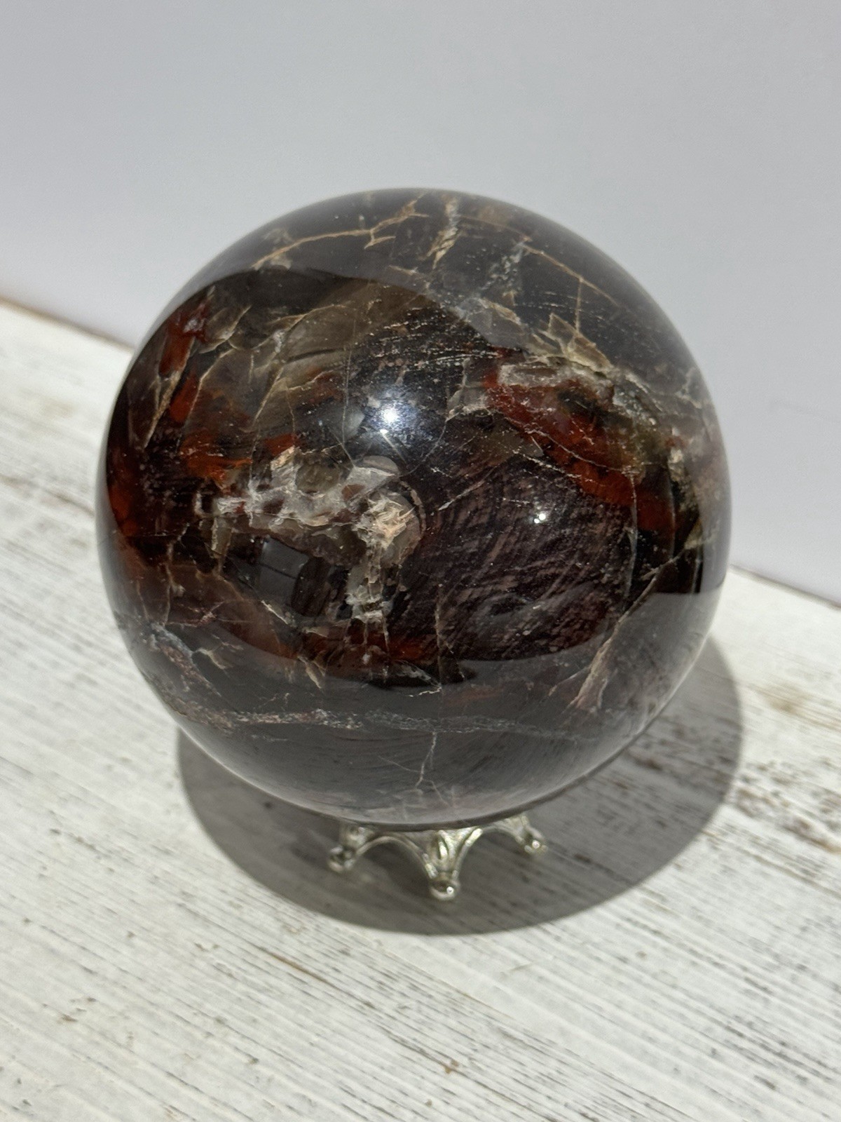 Petrified Wood Sphere 3.75” Natural Stone Carving