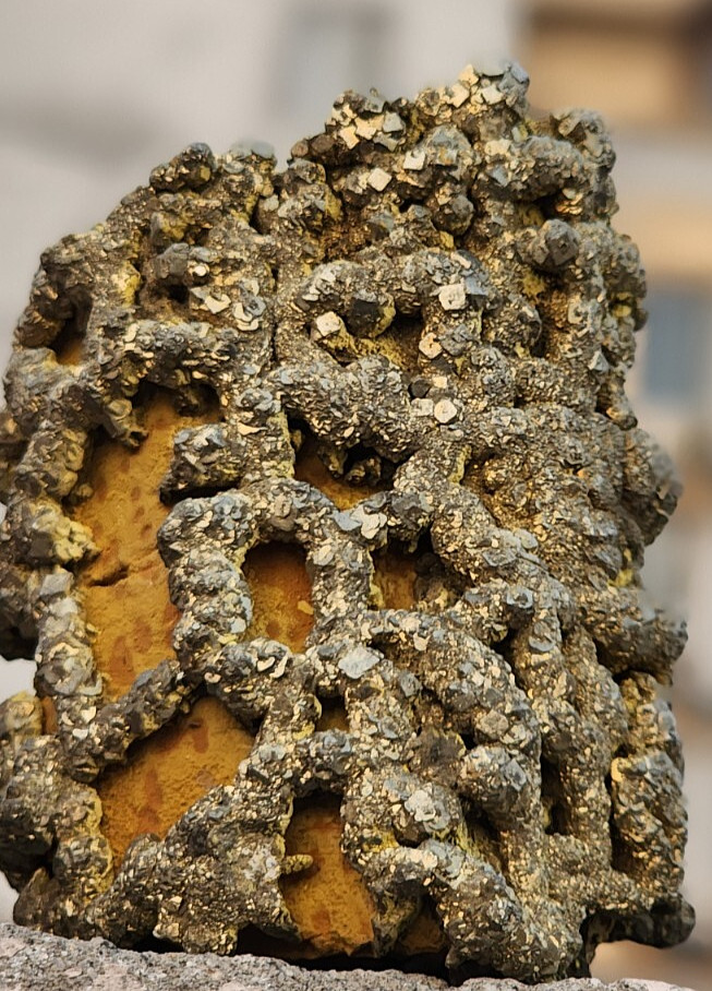 (640g) Crafted with an eye for natural beauty, this unbranded bracelet pyrite..