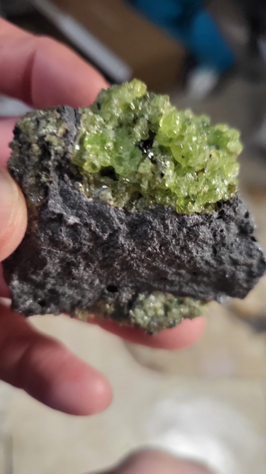 Highly Prized Rock and Mineral Collection