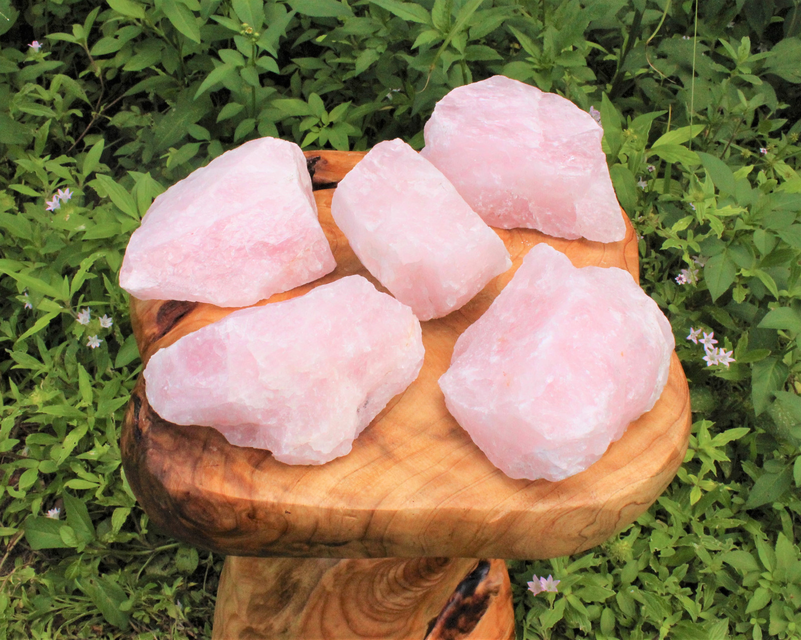 JUMBO Rose Quartz Natural Raw Crystals – Choose Size Huge Chunks (Love Stone)