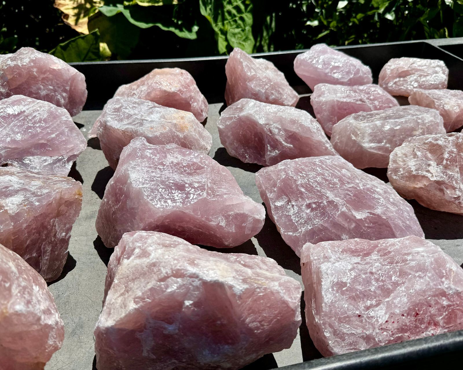 JUMBO Rose Quartz Natural Raw Crystals – Choose Size Huge Chunks (Love Stone)