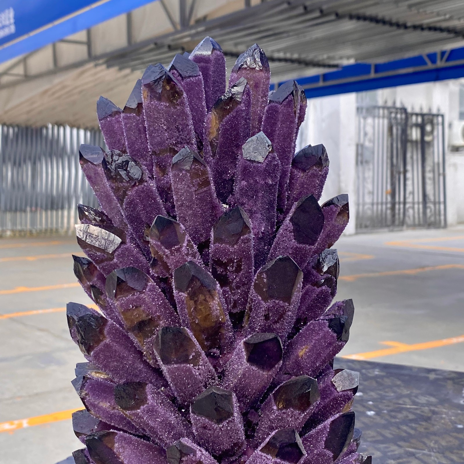 26.7LB Natural Purple Crystal Cluster/Flower Shape Mineral Specimen healing