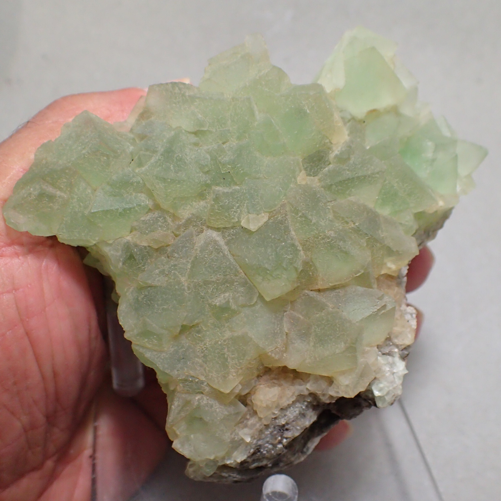 Fluorite, Hirschau, Gastein Valley. Salzburg, Austria