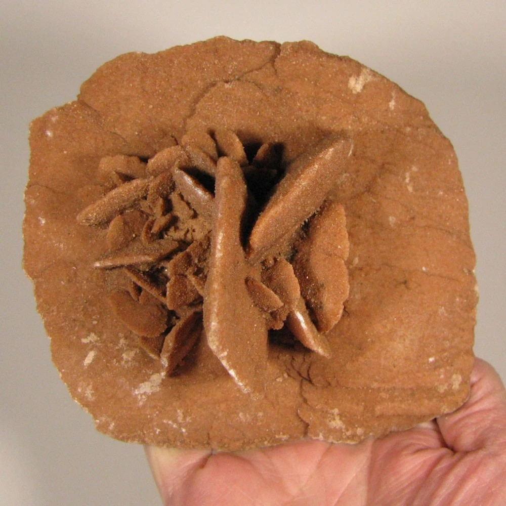 5.8″ Gypsum SELENITE Desert Rose Crystals Cluster – Morocco – 1.2 lbs.