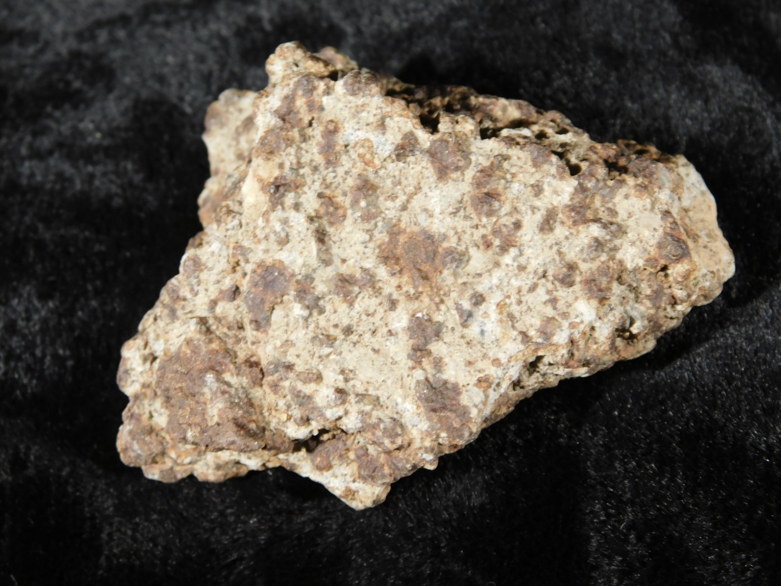Classified NWA 8245 METEORITE Spots of Dark Fusion Crust! Erfoud, Morocco 51.6gr