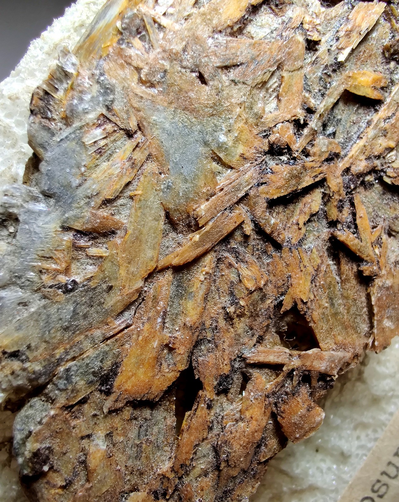 Gypsum-Selenite crystals, old “traded” collection piece . Stanhope, Iowa. 9 cm.