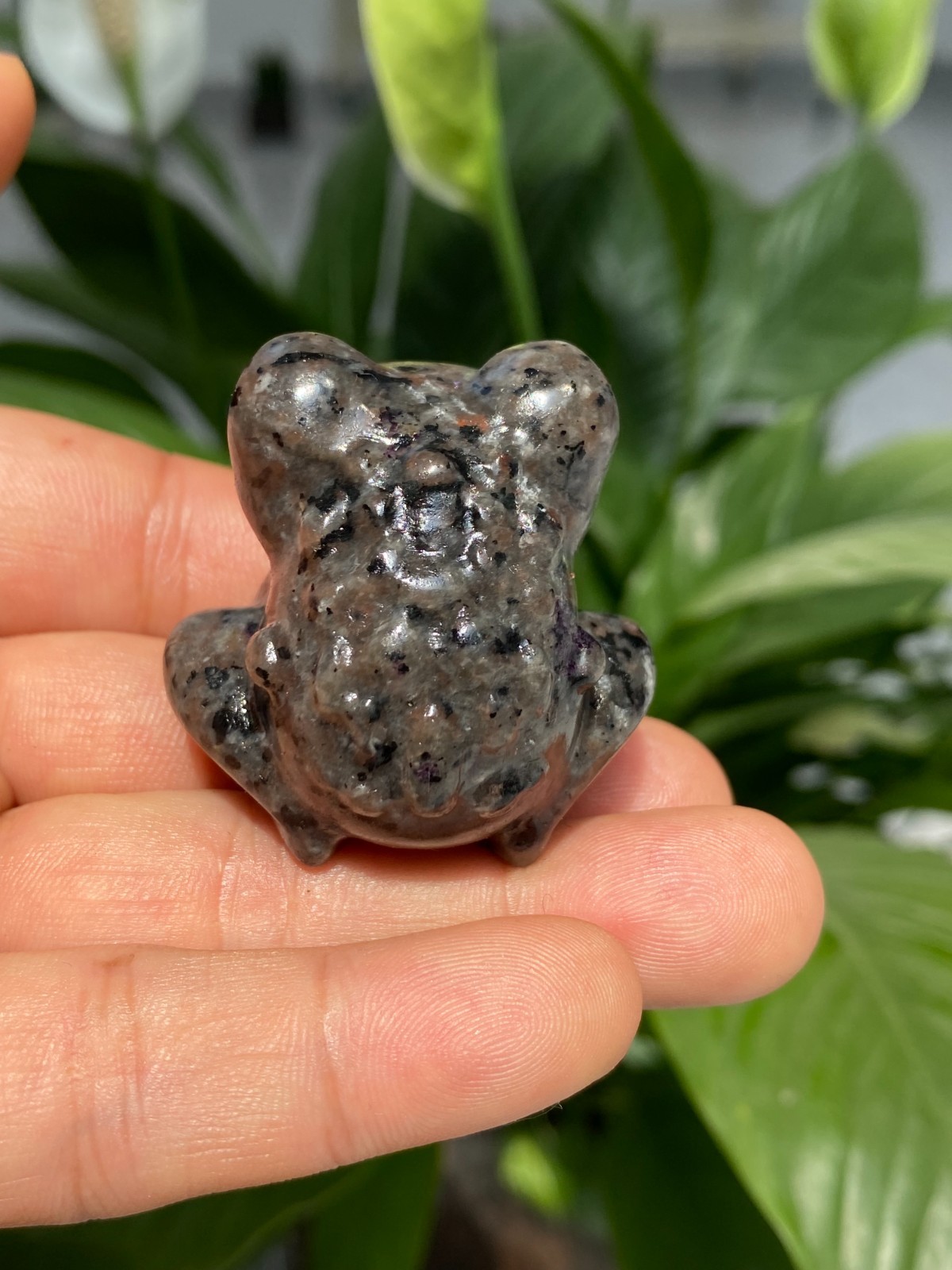 1pc Natural Yooperlite Quartz Carved Crystal Frog skull reiki healing gift Decor