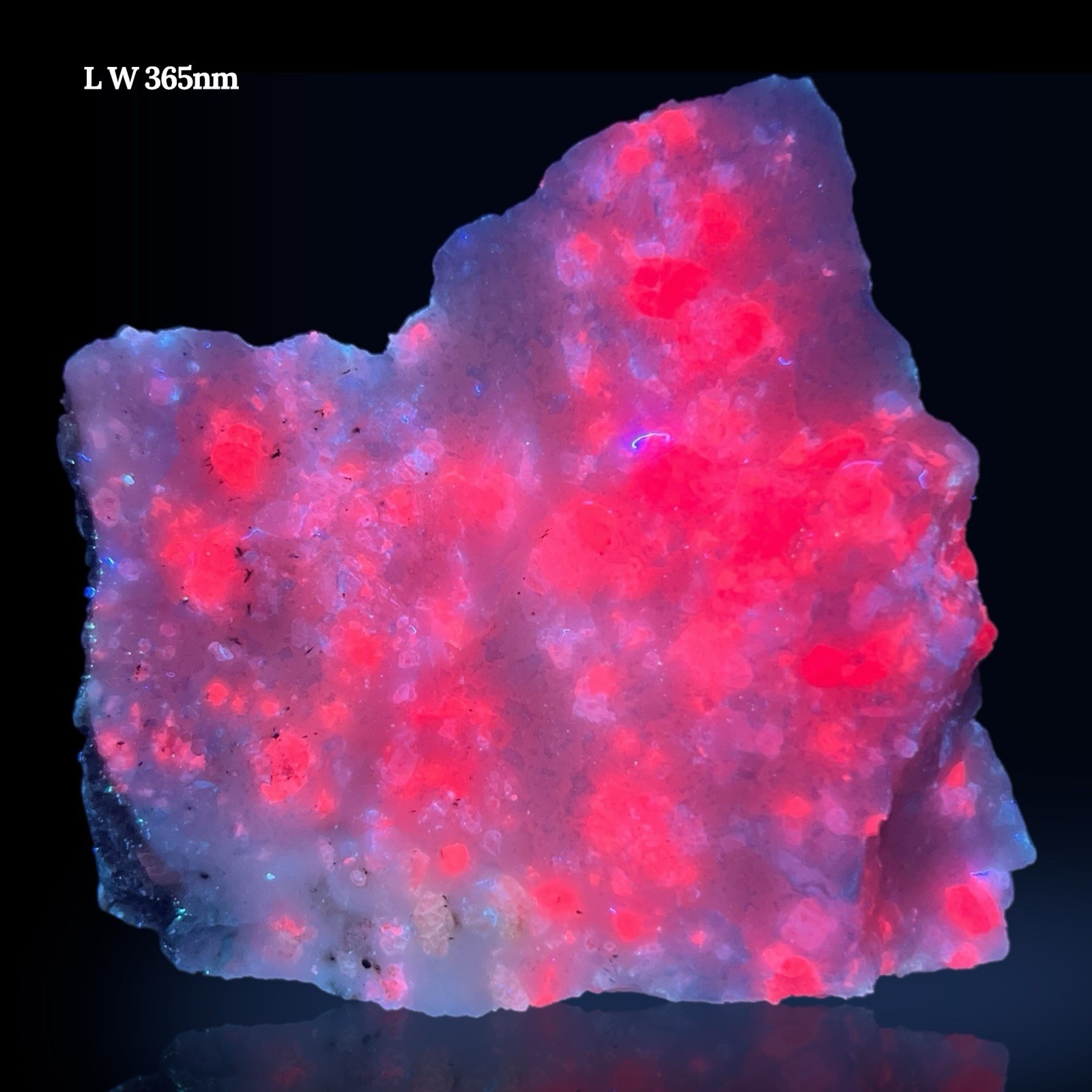 212 GM Red Spinel Crystals with Marialite, Scapolite, Fluorapatite on Calcite
