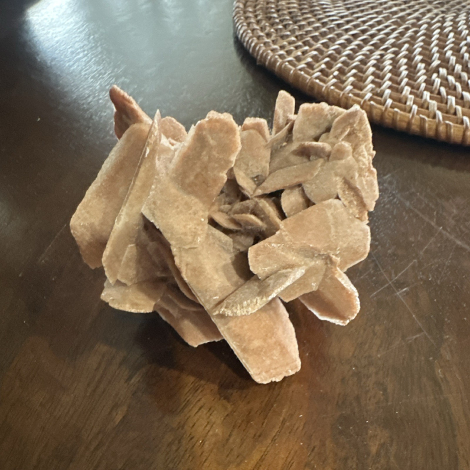 Desert Rose Selenite Gypsum Mineral Specimen on Display Stand