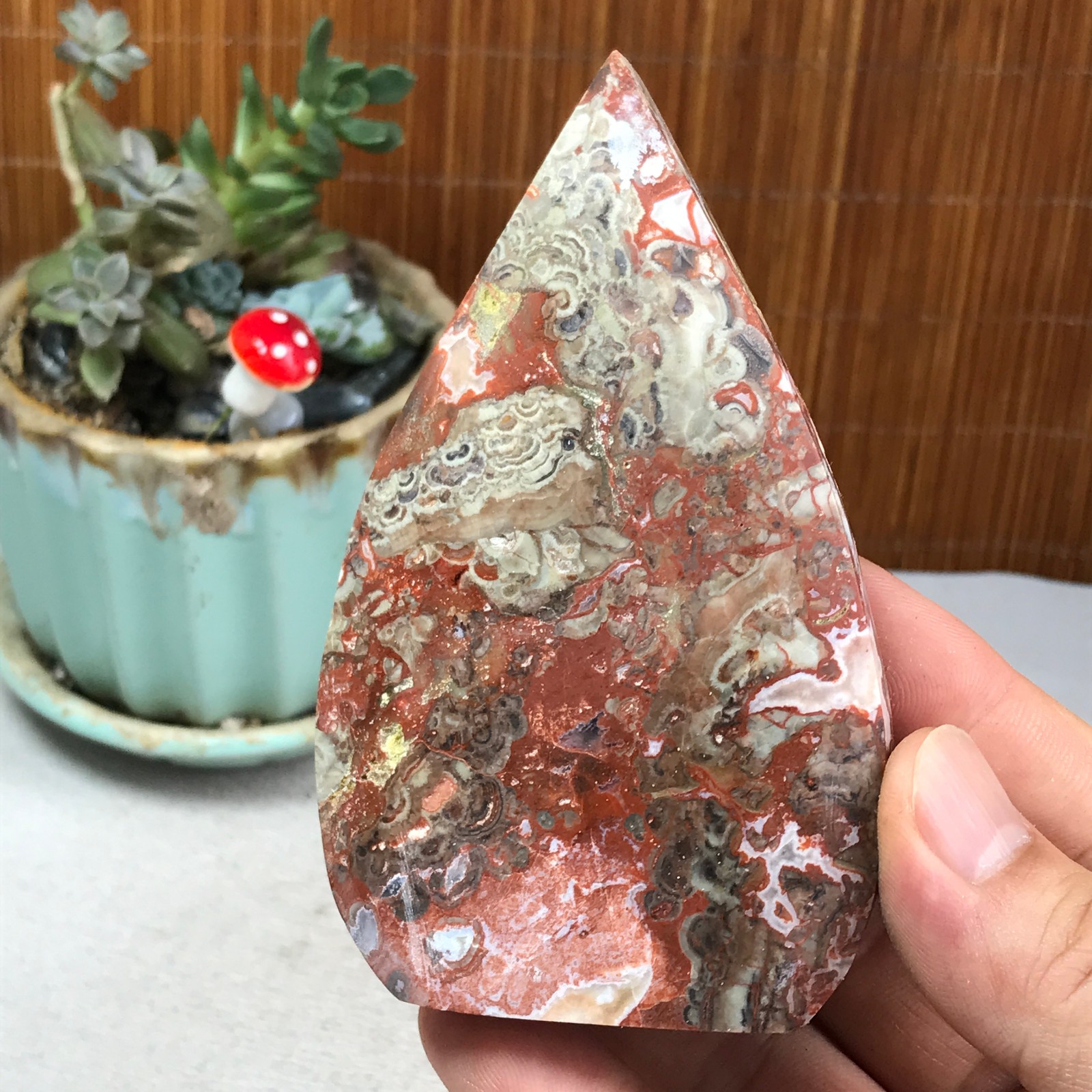Natural money Mexico agate hand carve leaf Crystal Specimen free standing A6255