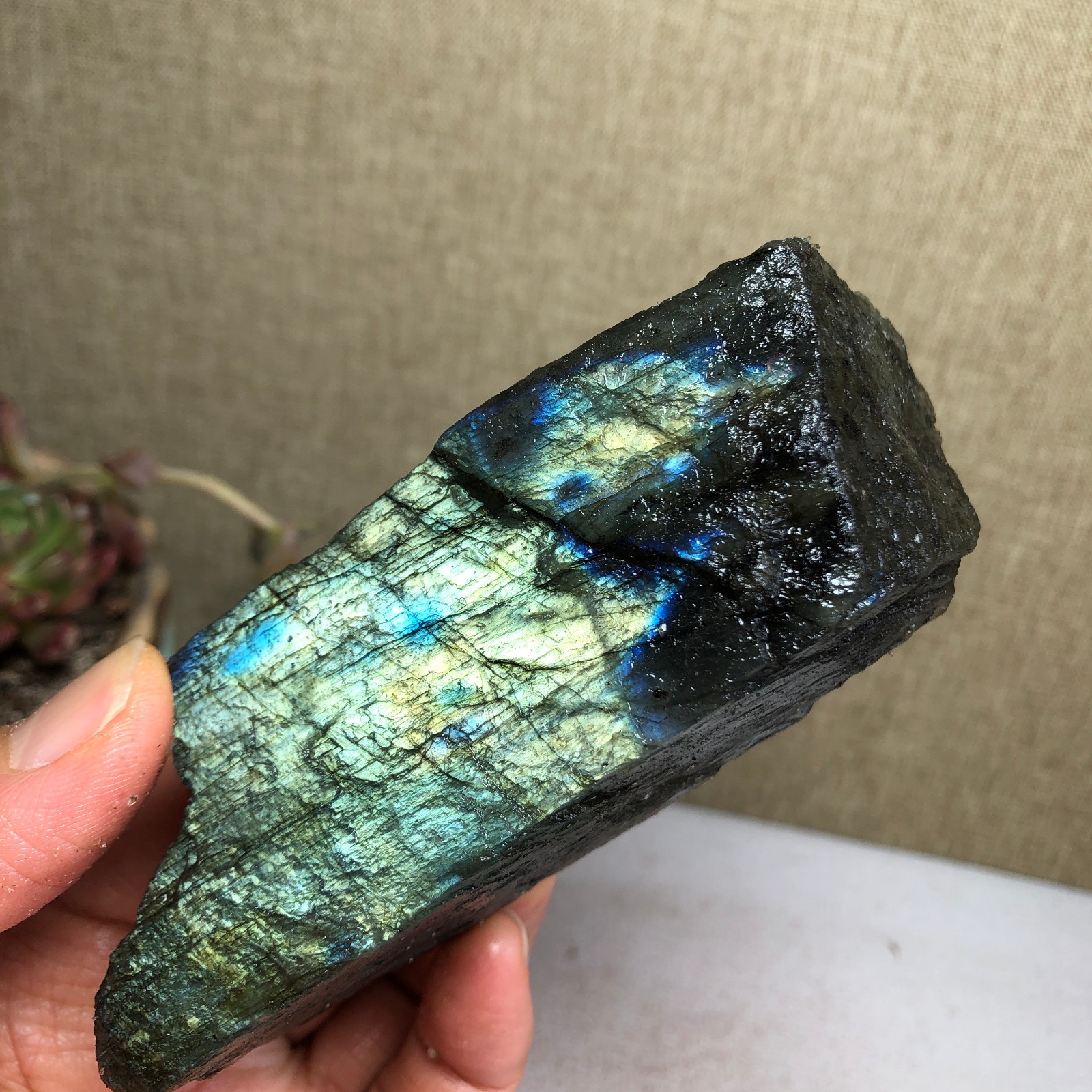 92-34-36mm Natural Labradorite Crystal gemstone Rough Mineral Specimen A4418