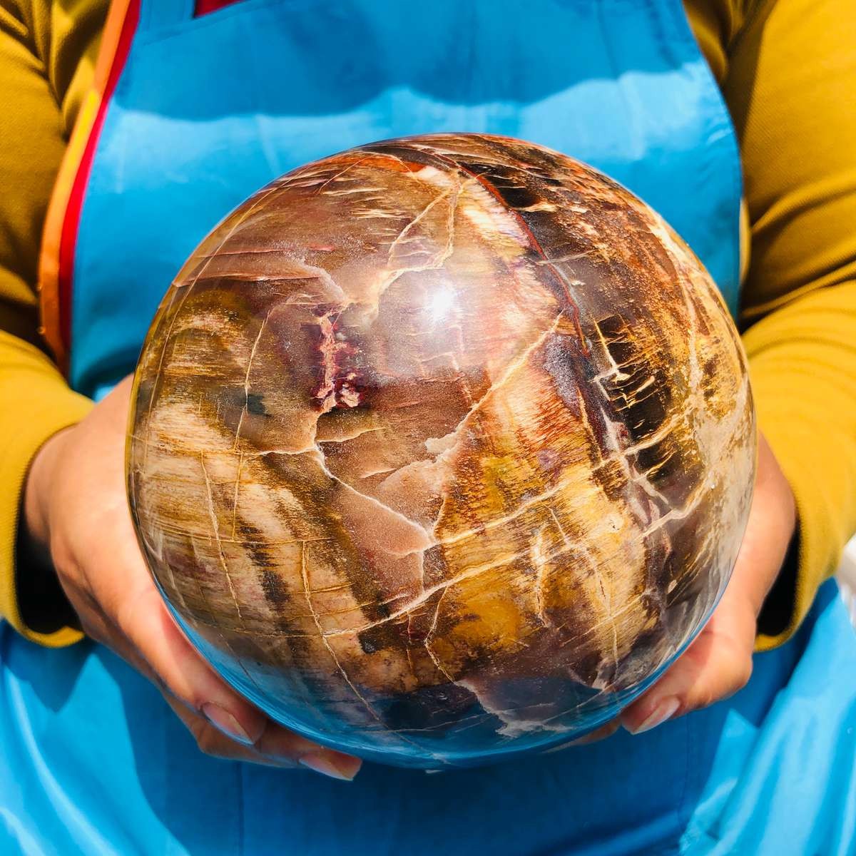 8.18LB Rare Natural Petrified Wood Ball Crystal Quartz Mineral Healing 4698