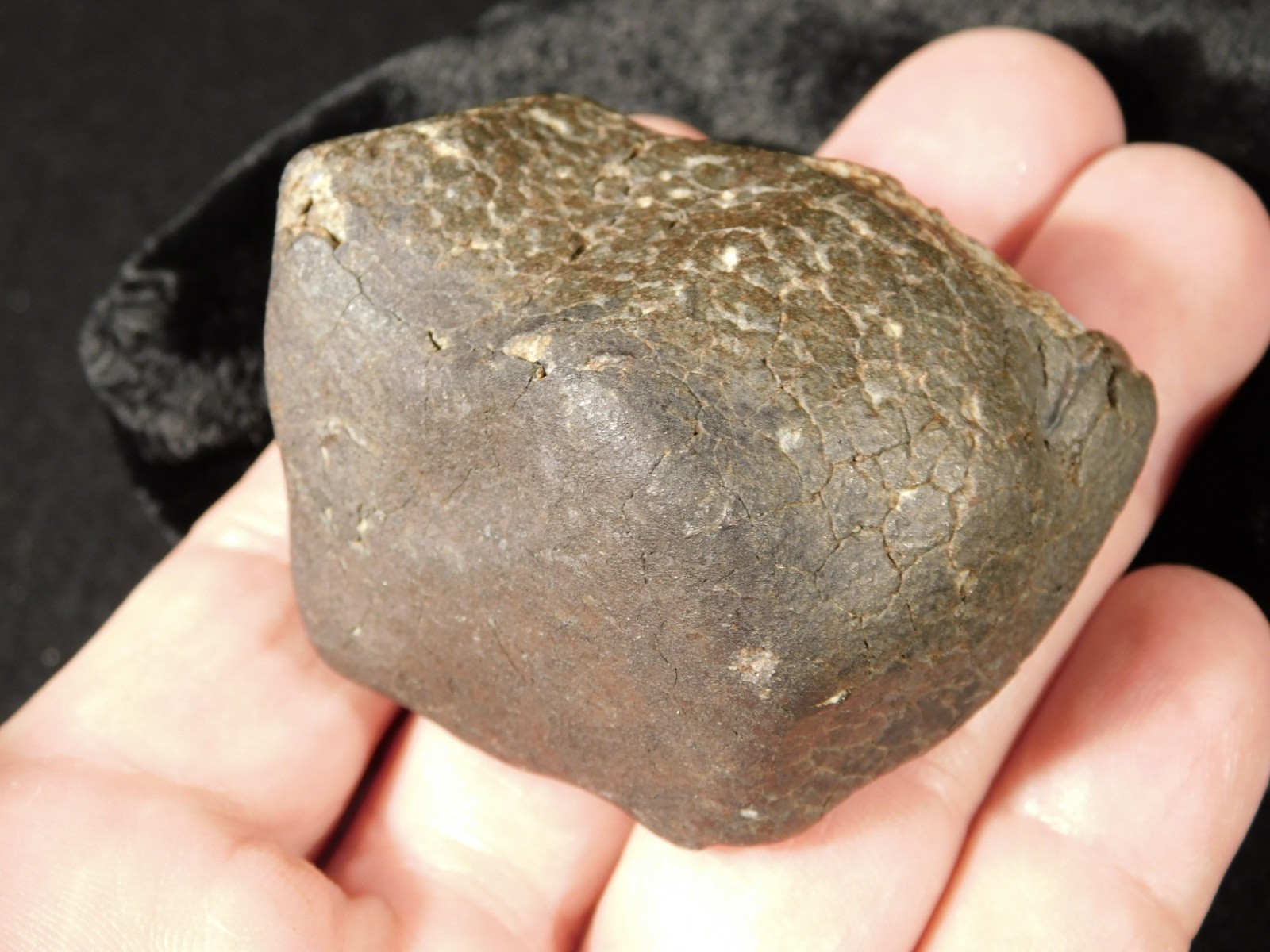 H6 Stony METEORITE Regmaglypts DARK Fusion Crust and Contraction CRACKS! 155gr