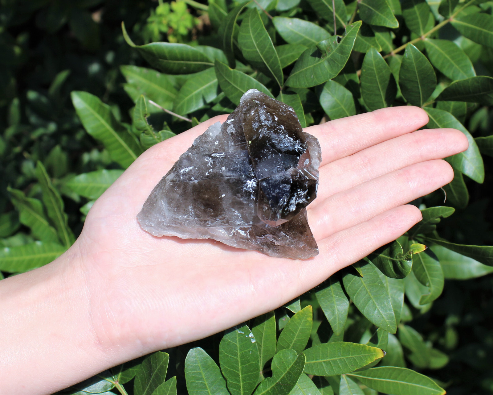 Smoky Quartz Crystal Clusters CLEARANCE Wholesale Lots (Smokey Quartz Cluster)