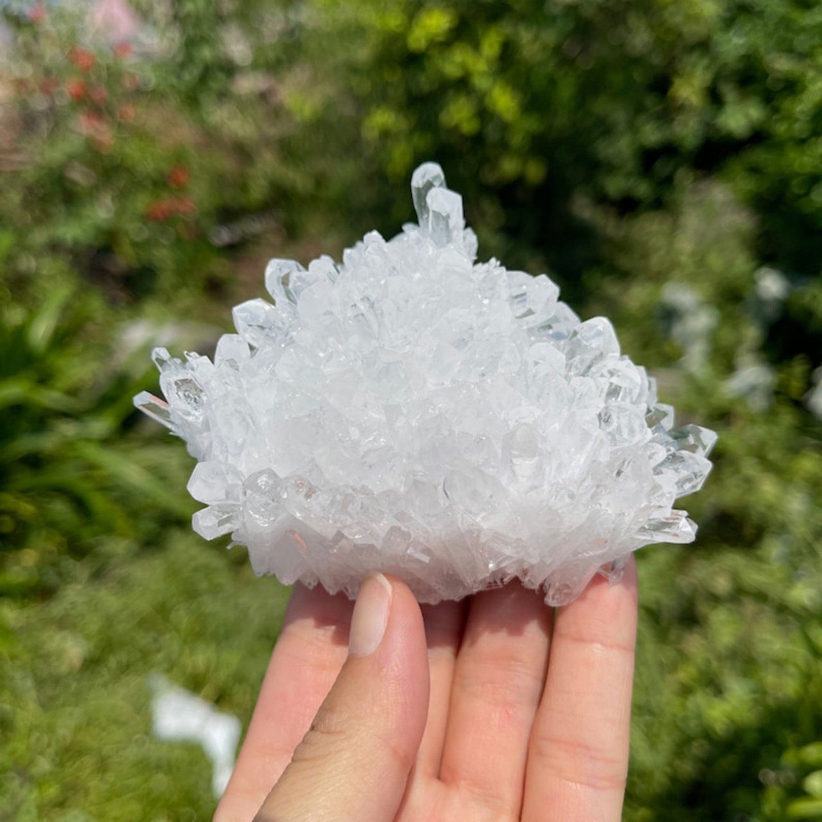 Clear Quartz Crystal Cluster Decorative Stone Display Specimen 200-300g