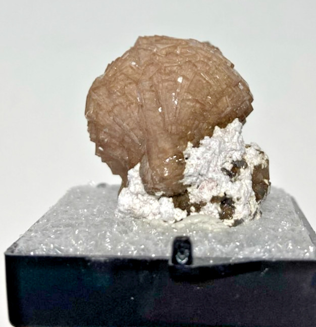 Exquisite VERY Rare Poldervaartite (Olmiite variety) & minor Calcite. S.A.