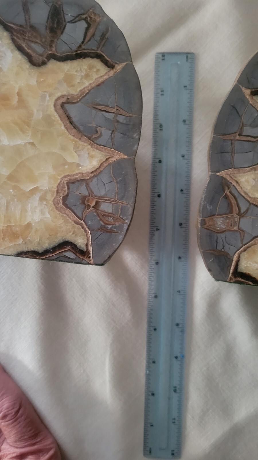 Septarian nodule LARGE Extra Fine MATCHED CUT.