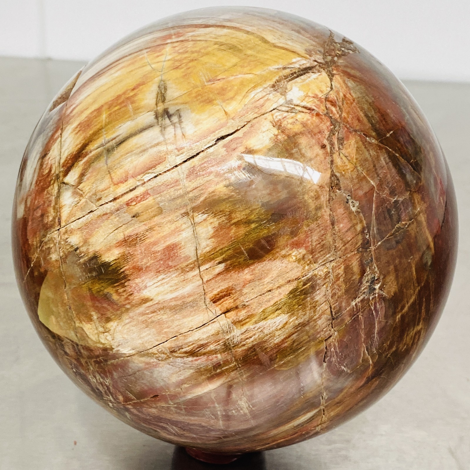 Natural Petrified Wood Polished Stone Quartz Crystal Sphere Ball Healing 3720G
