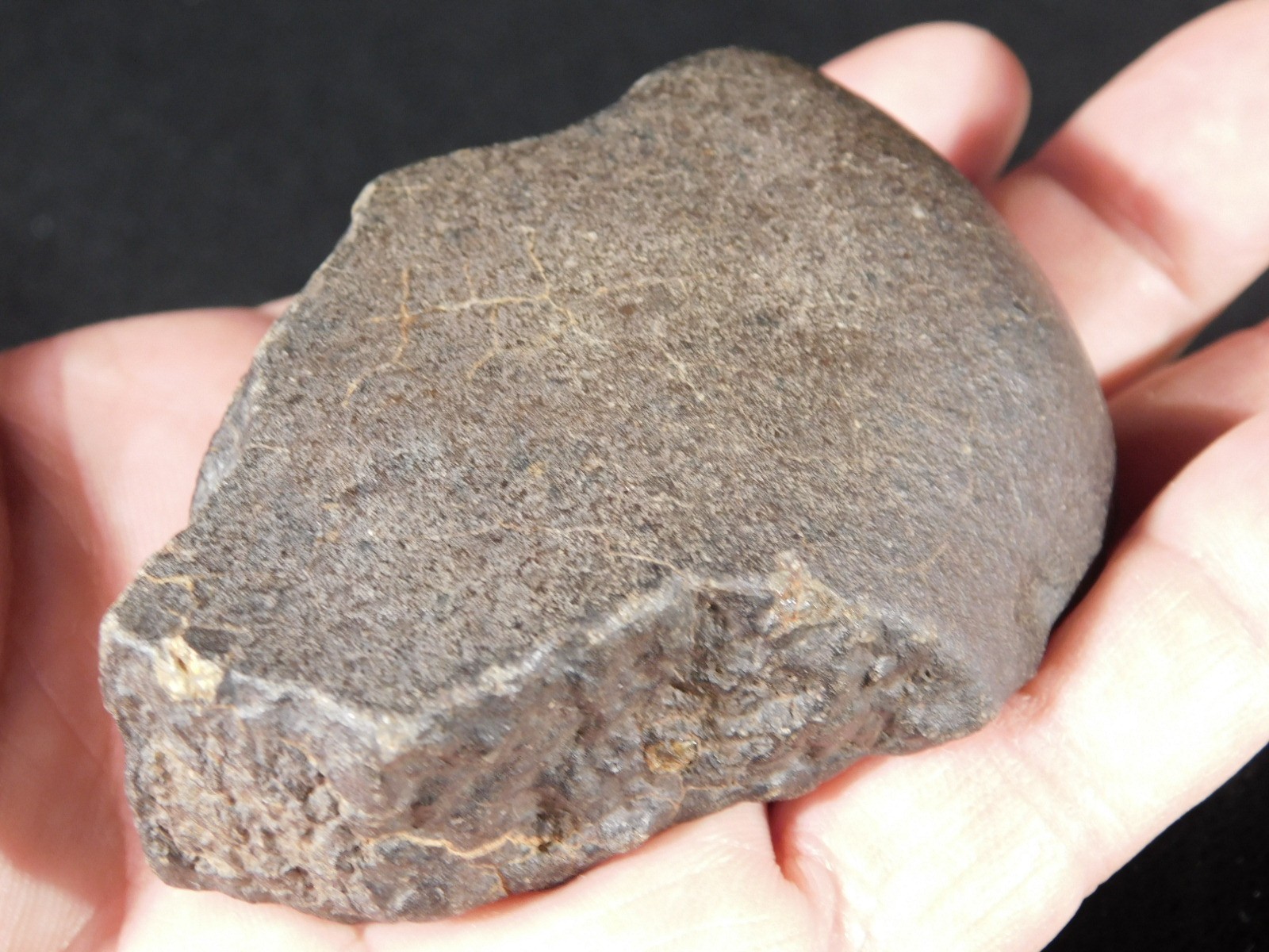wOw! Larger! Stony METEORITE with DARK Silky Fusion Crust! FELL in Libya 219gr