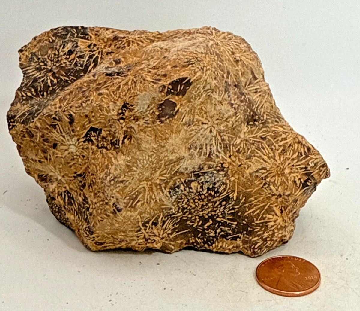 Beautiful Spider Jasper Chrysanthemum Specimen 491 Grams