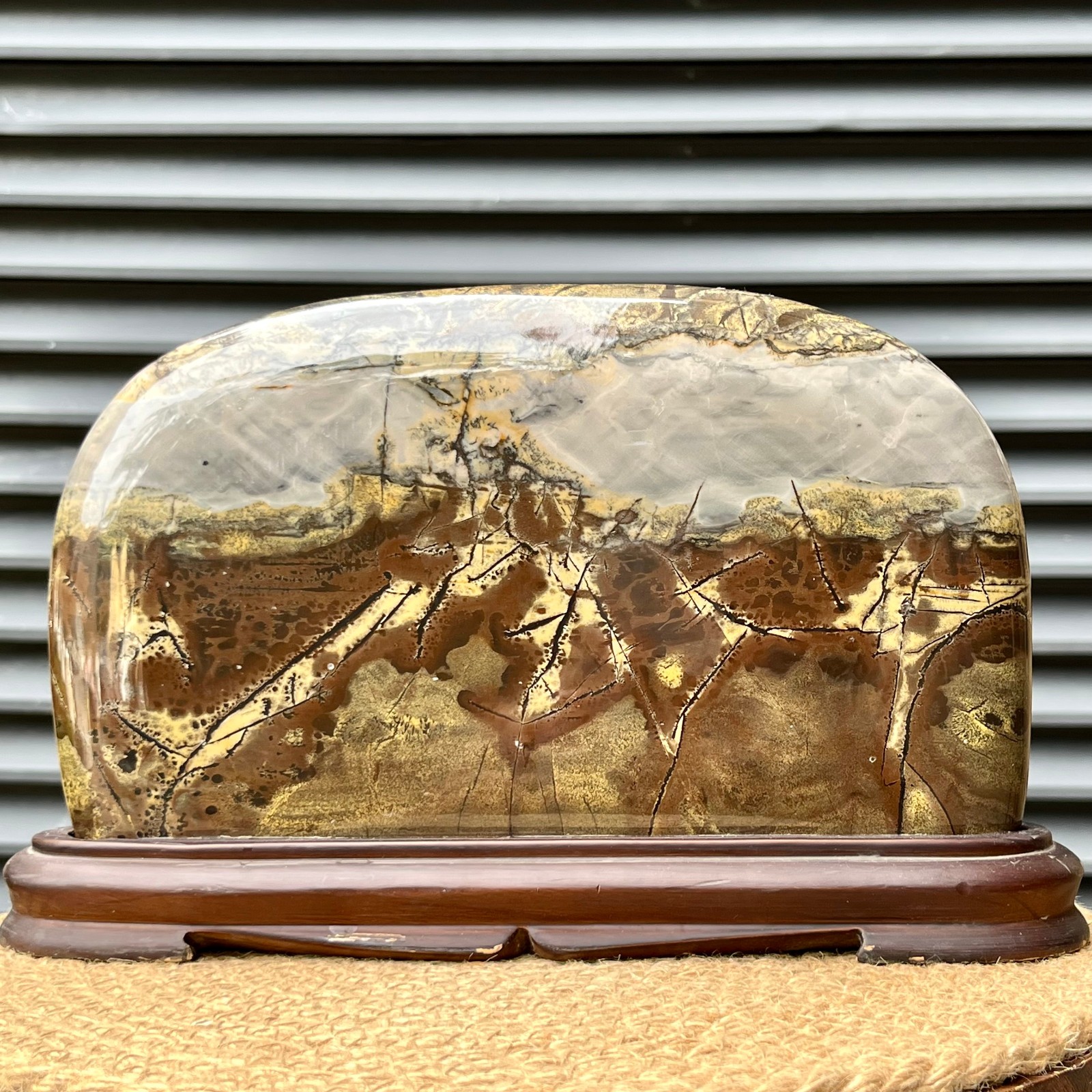 6.2 lb Natural Scenic Stone Display Polished Pattern Art w/ Wood Stand