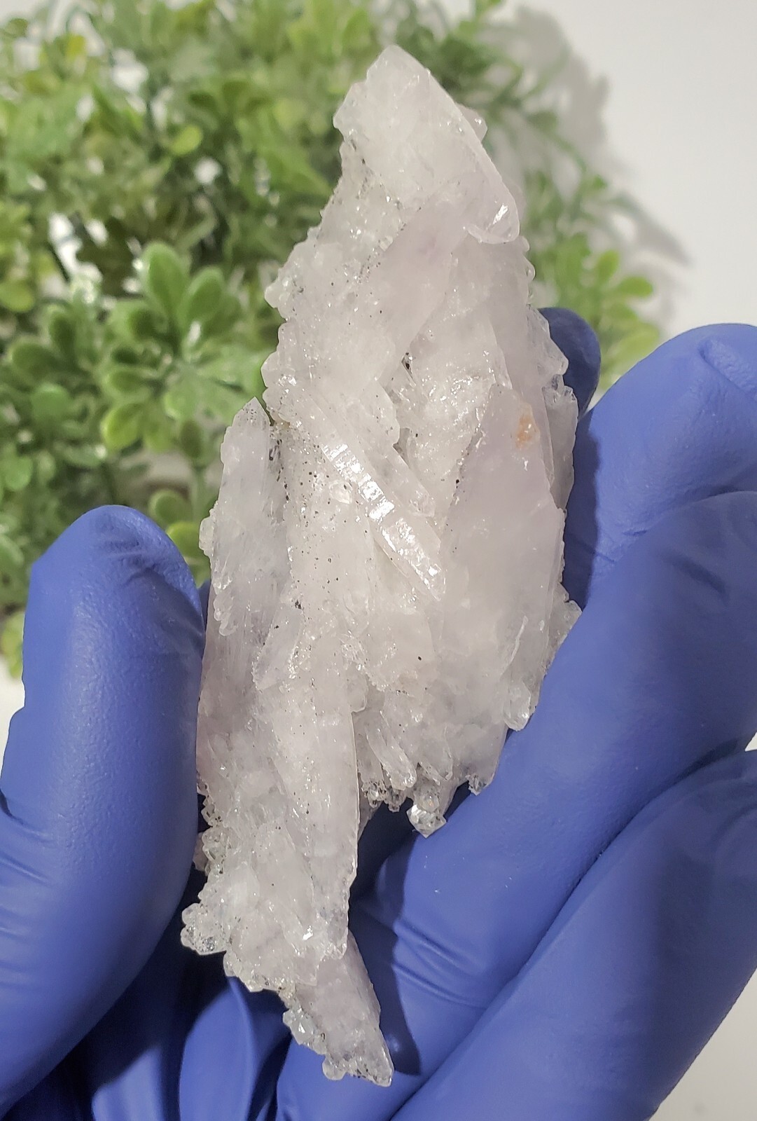Hydroxyapophyllite Rock Cluster, Khandivali India 34g