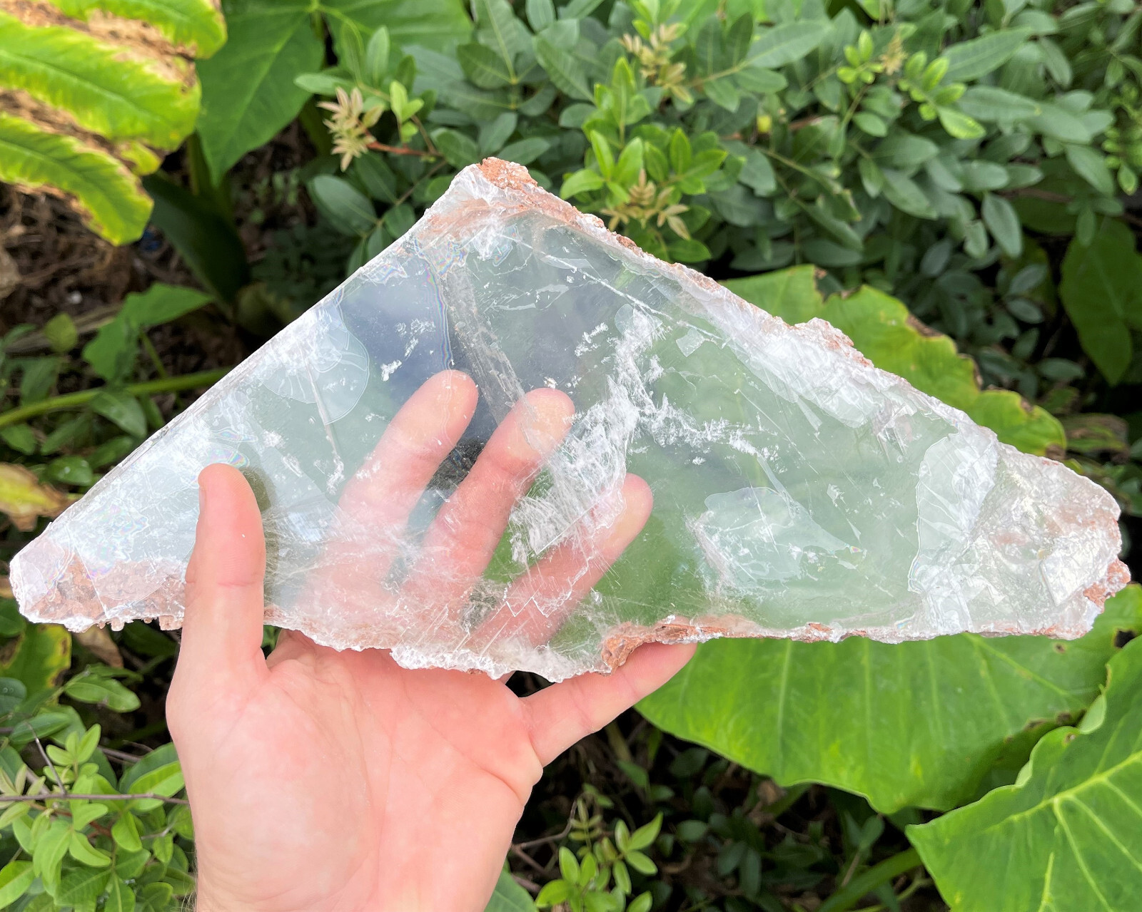 EXTRA LARGE Natural Selenite Slabs, 1-2 lb Stunning Raw Selenite Slices + Stand
