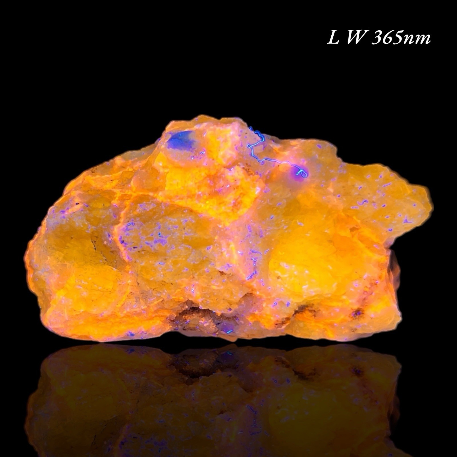 Afghanite, Lazurite, Marialite, Scapolite, Calcite, Fluorapatite, Phlogopite,