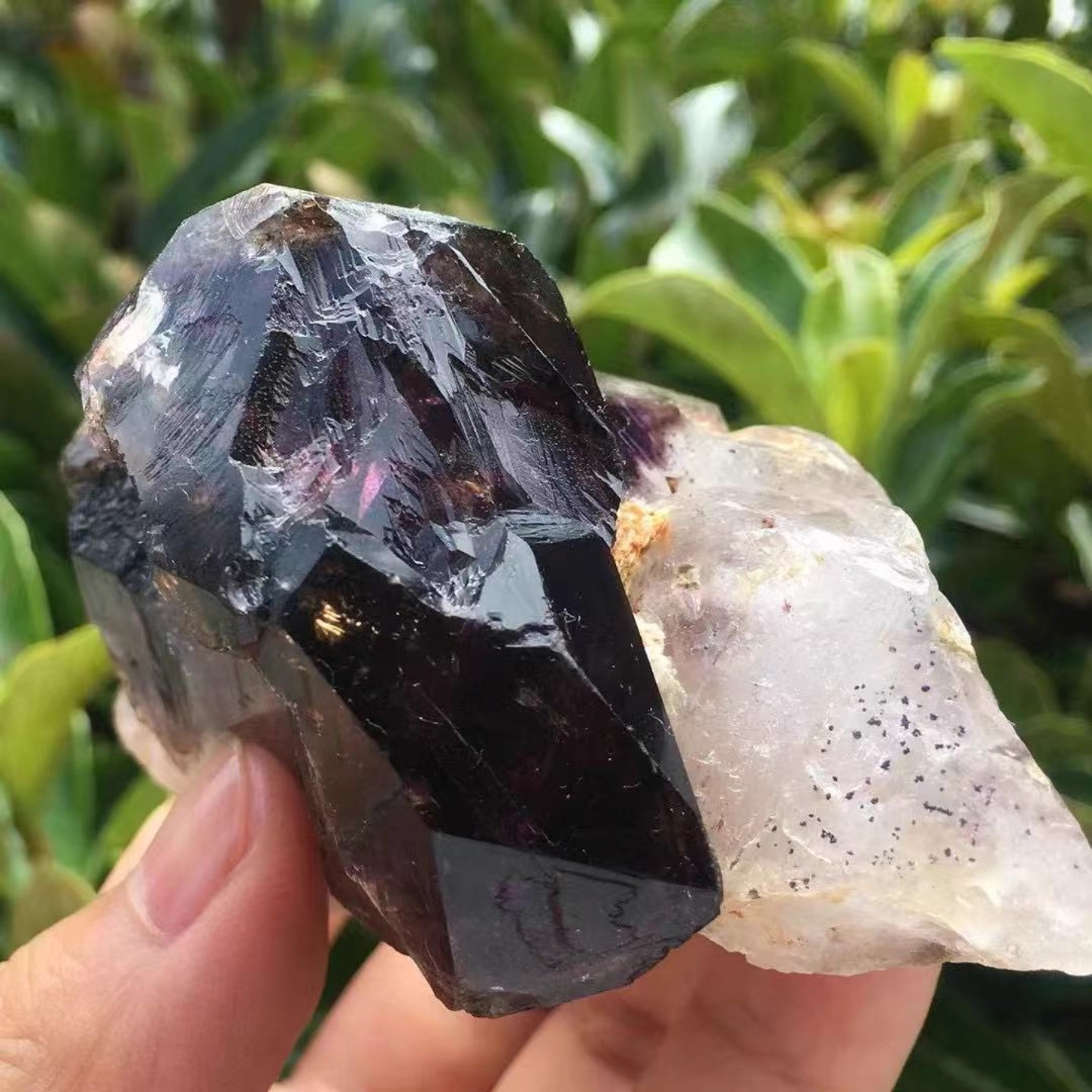 237g natural amethyst Melody stone *7*psychic abilities spiritual elevation